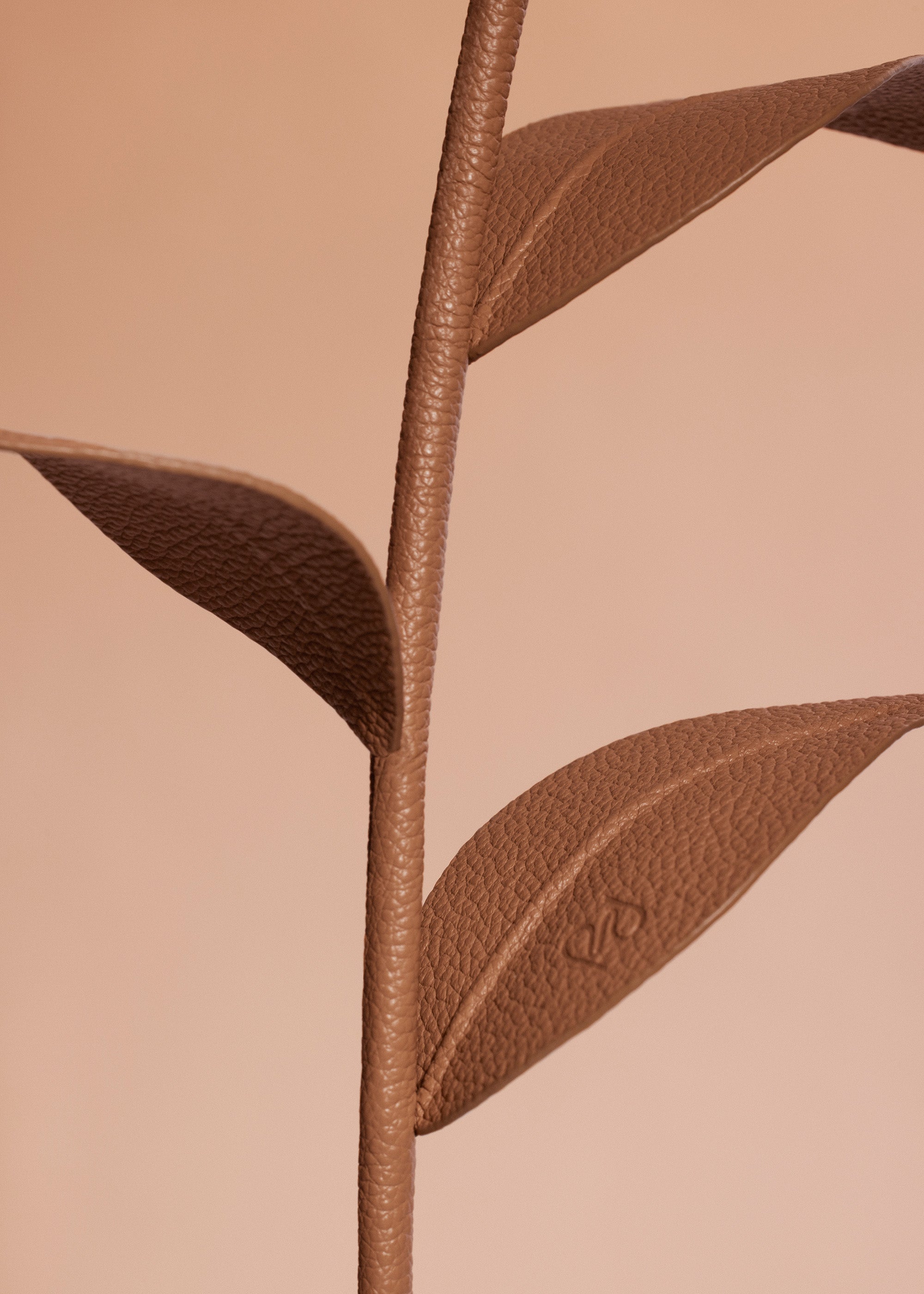 Fleur Dalium - Duo Tan Grain茅、mySite、camillekostekn