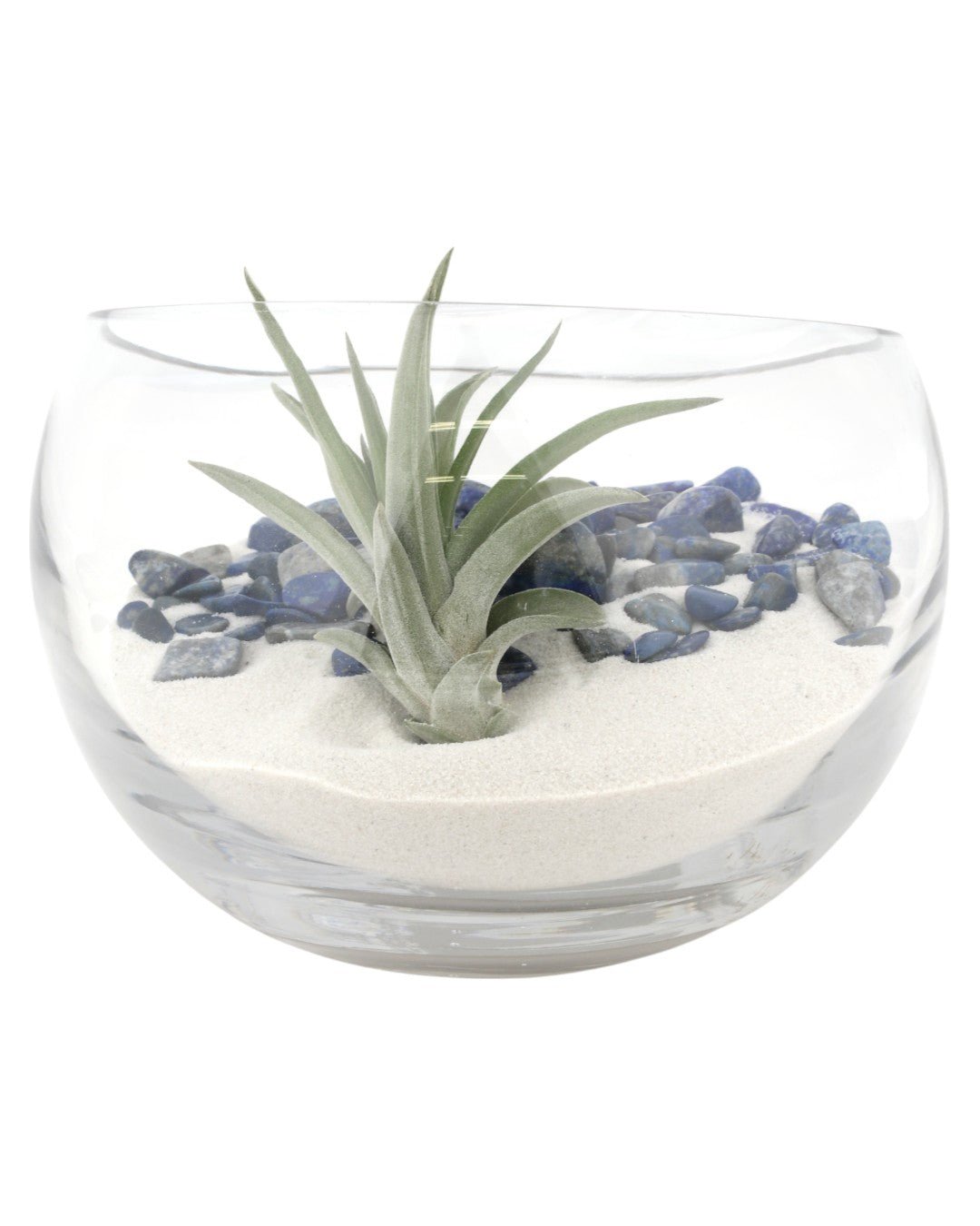 Lapis Gemstone Terrarium、mySite、topwebapps