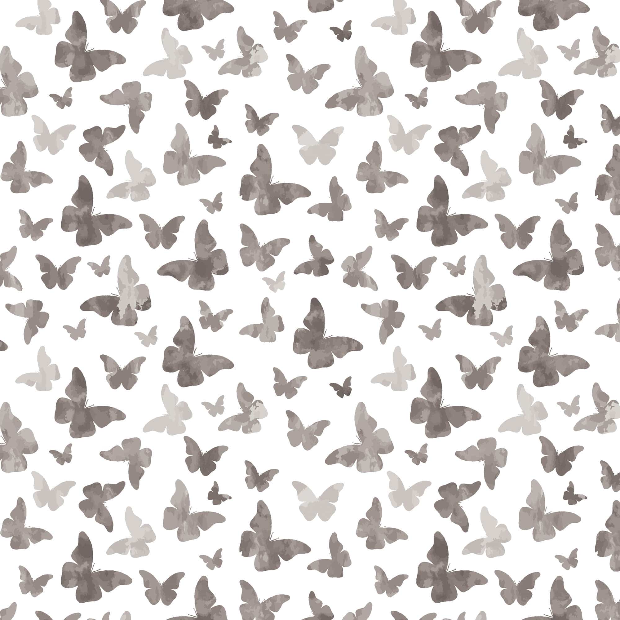  Black Watercolor Butterflies 12 x 12 Paper、mySite、ghnorth