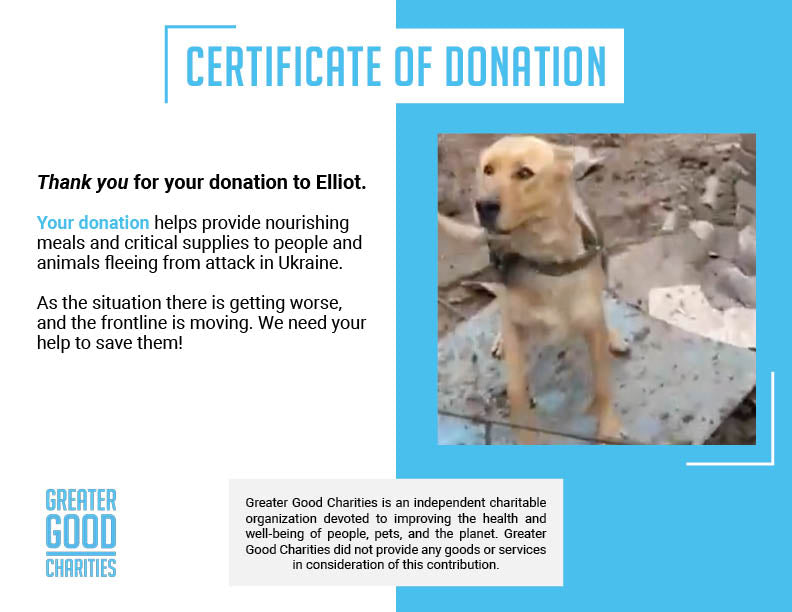 Help Elliot, Traumatized From War Zone, Heal、mySite、camillekostekn