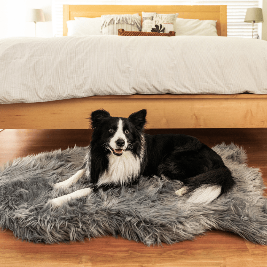 Paw.com x BarkBox PupRug™ Faux Fur Orthopedic Dog Bed - Charcoal Grey、mySite、solidvoid
