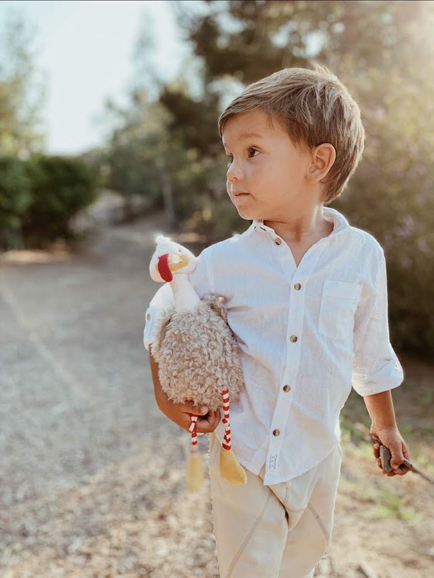 RETIRED - Gracious Gobbler Book and Plush Bundle、mySite、g9winljtr