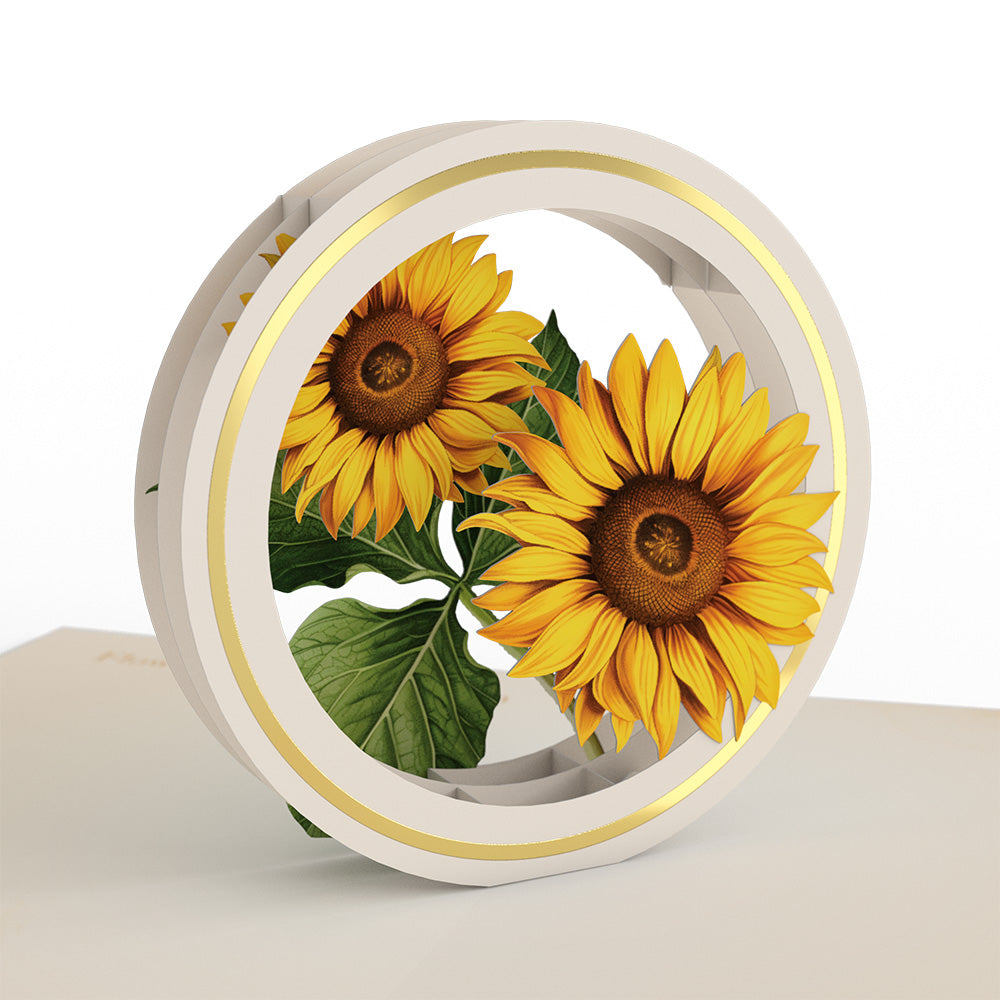 Beautiful Botanicals Box Set (Assorted 12-Pack): Paperpop® Card、mySite、solidvoid