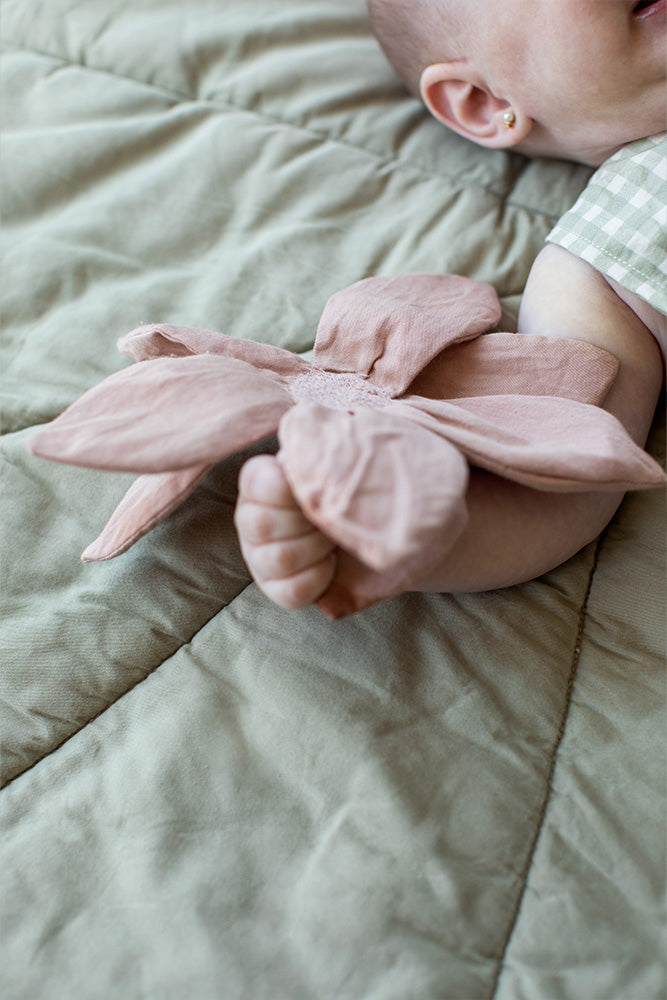 LILY POND GIFT SET、mySite、gigharbornorthrealestate