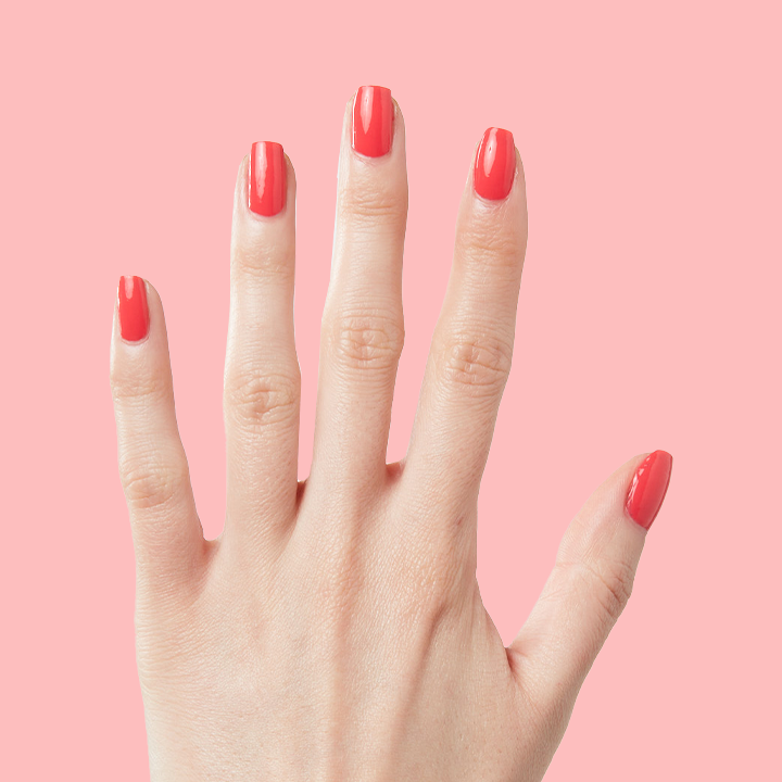 Field Day、mySite、solidvoid