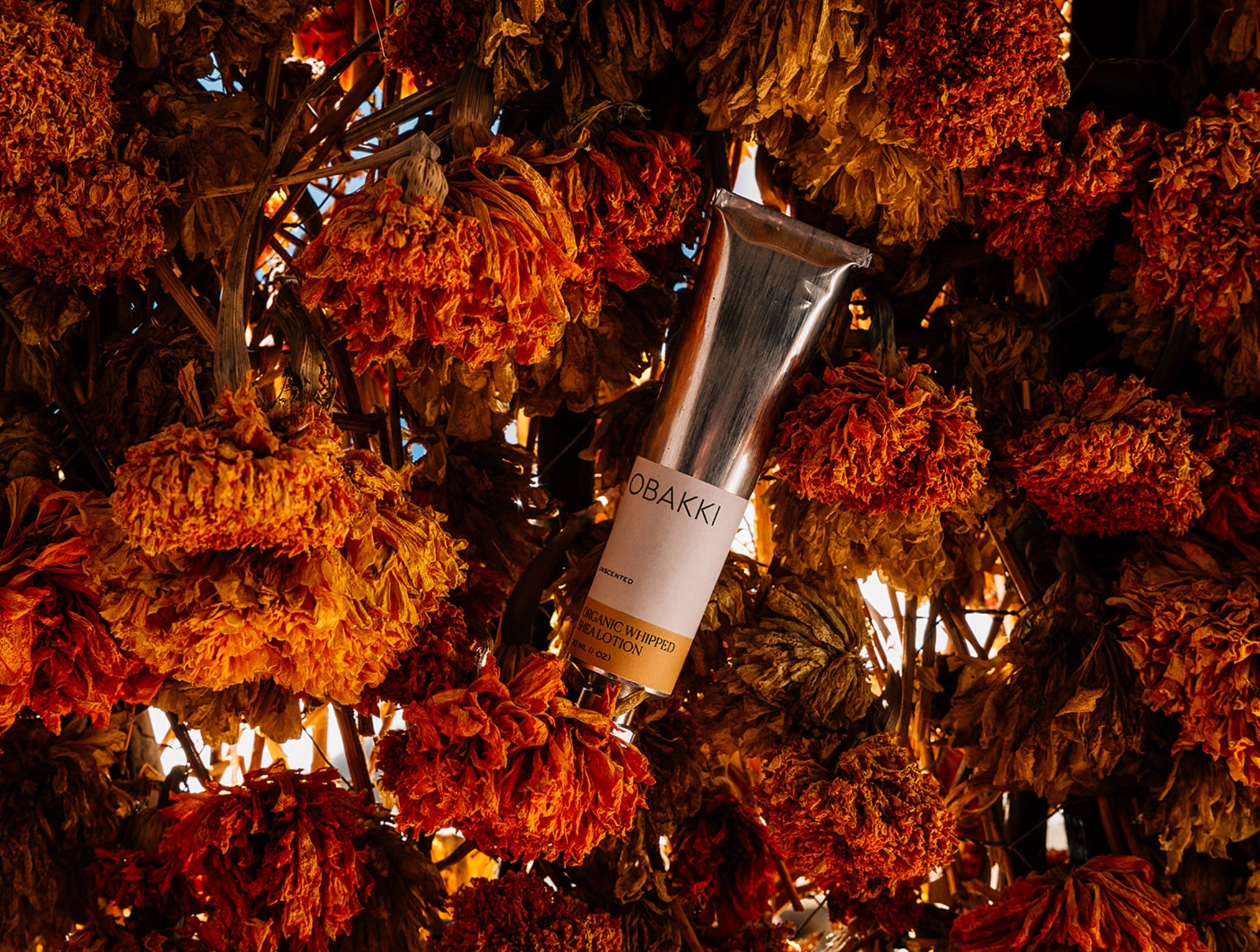  Obakki Designs Lotion、mySite、sugarbowlscore