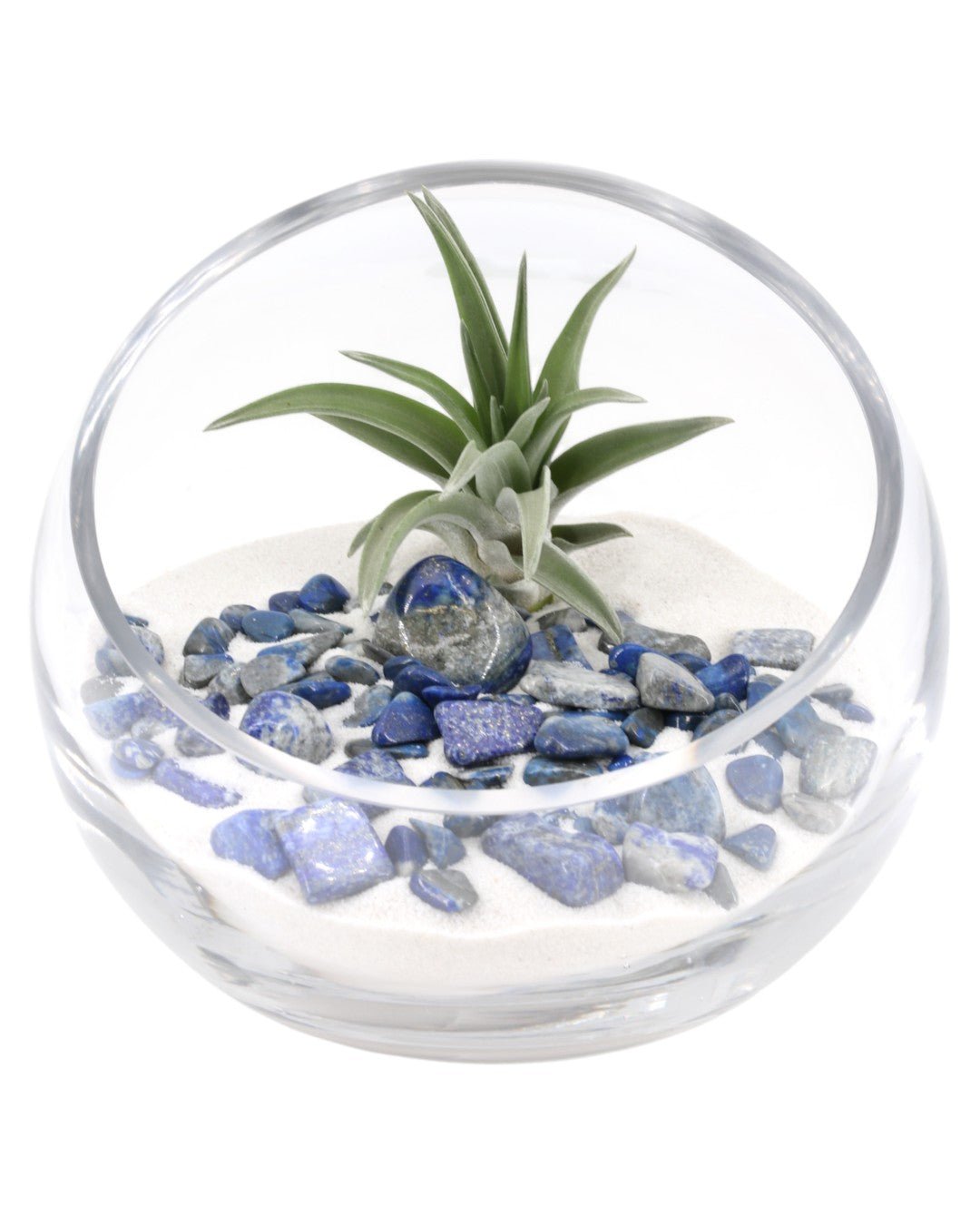 Lapis Gemstone Terrarium、mySite、topwebapps
