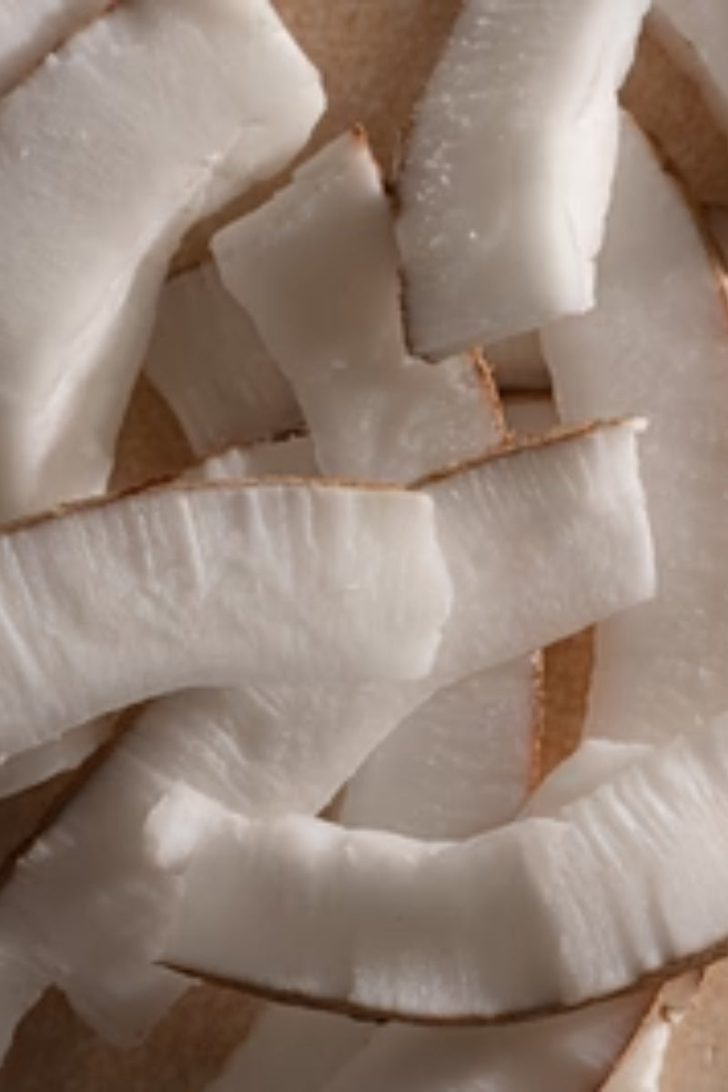 Pura Car Fragrance Refill - Coconut Mango Milk (ILLUME)、mySite、hinf8tx79