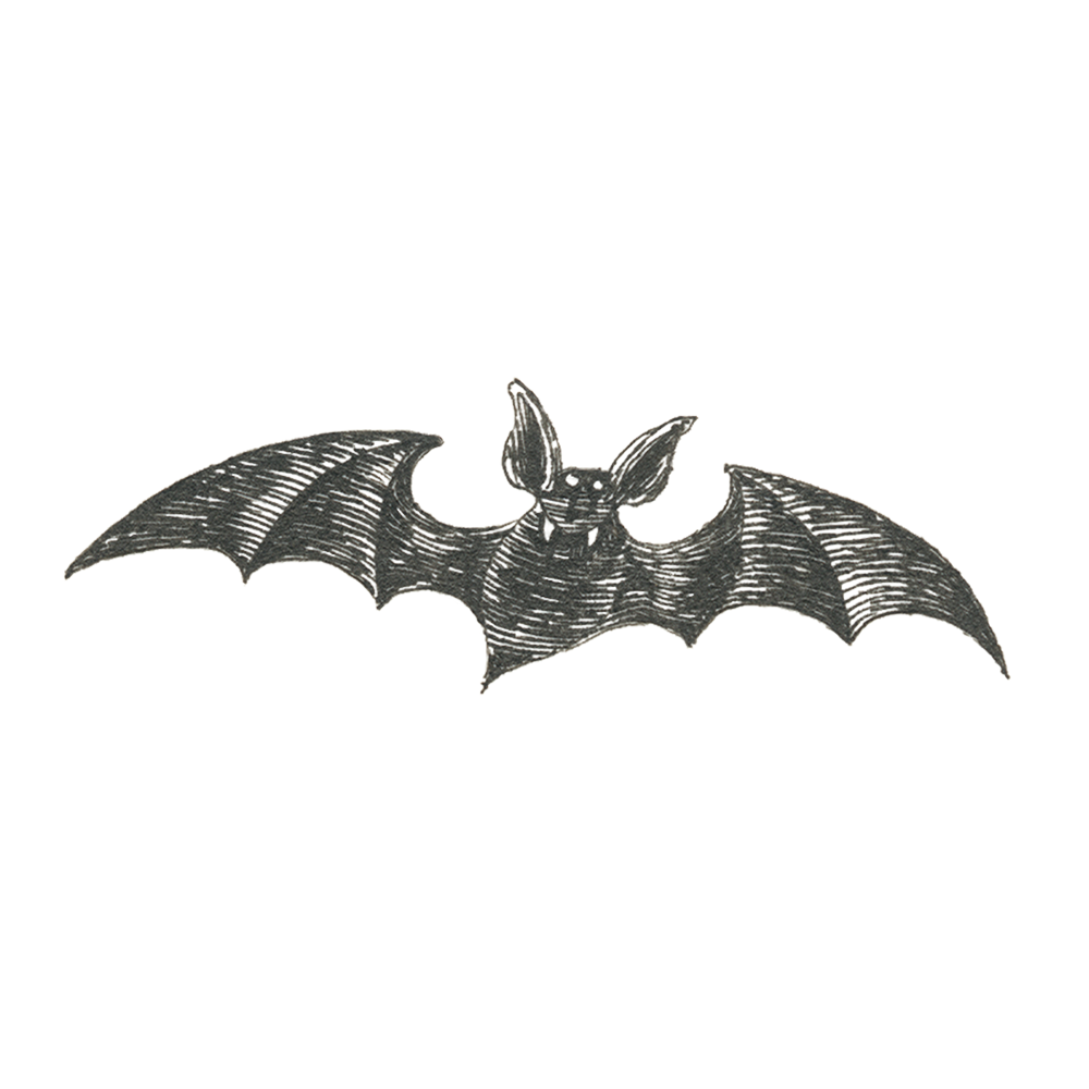  Edward Gorey's Vampire Bat Tattly Temporary Tattoos、mySite、ghnorth