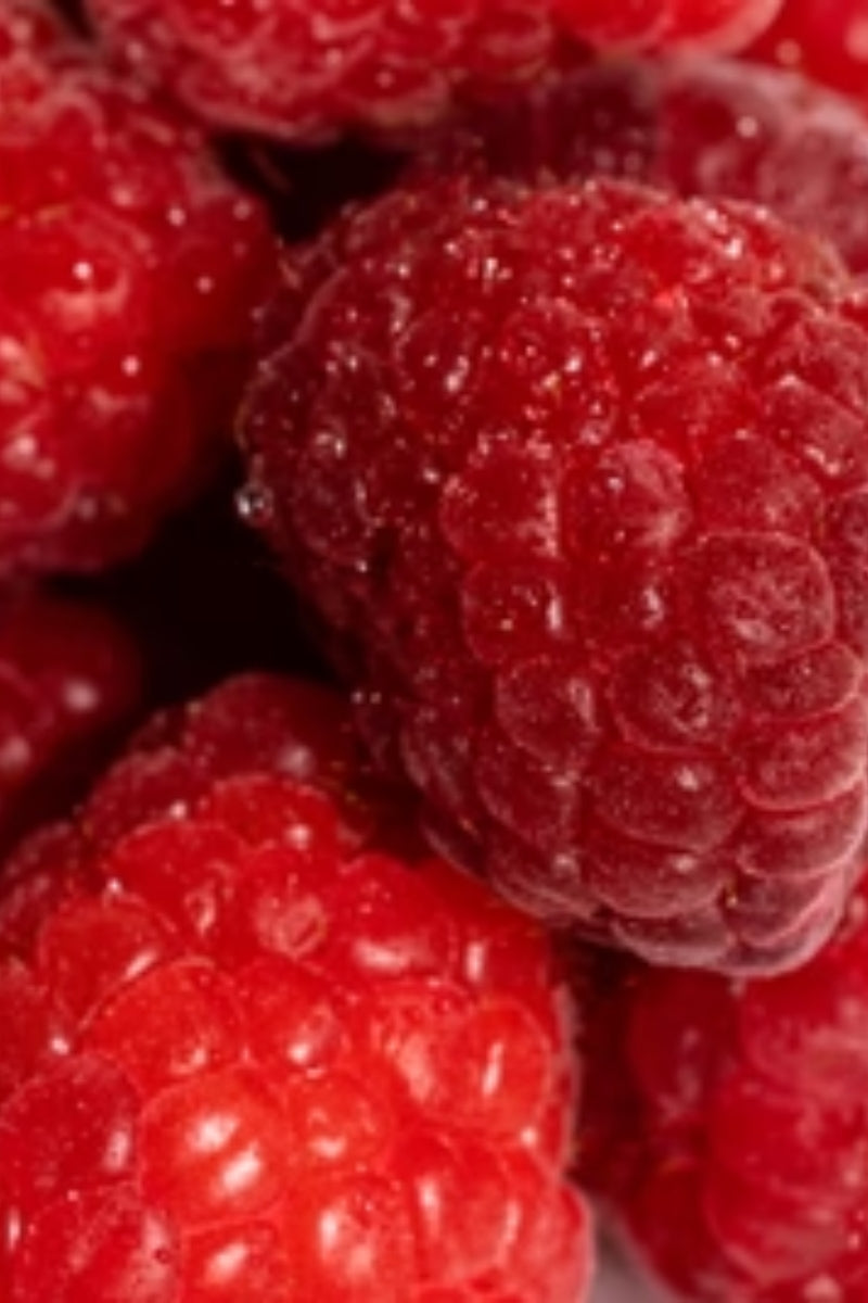 Pura Fragrance Refill - Raspberry Cassis (Archipelago)、mySite、hinf8tx79