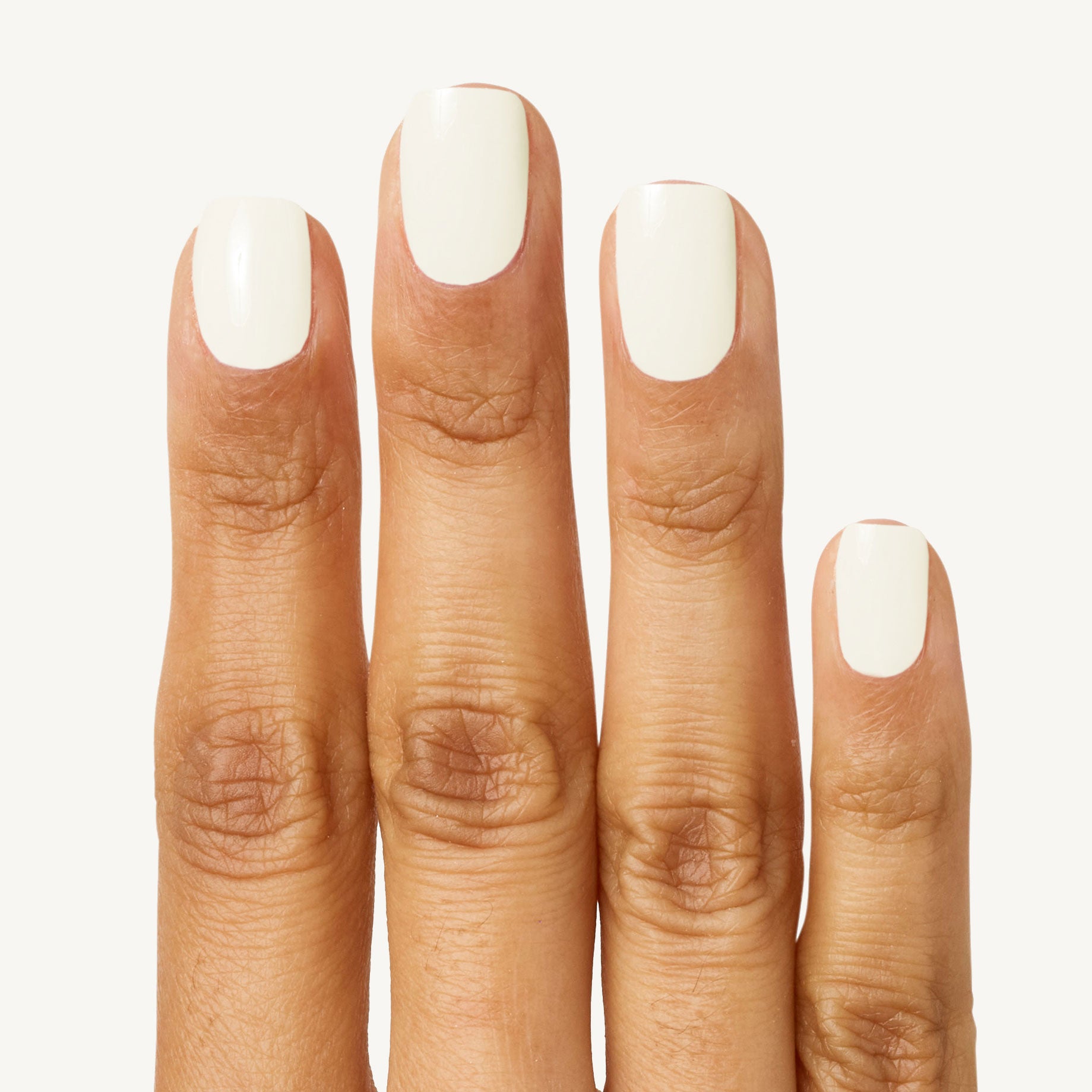 Bunny Slope、mySite、solidvoid