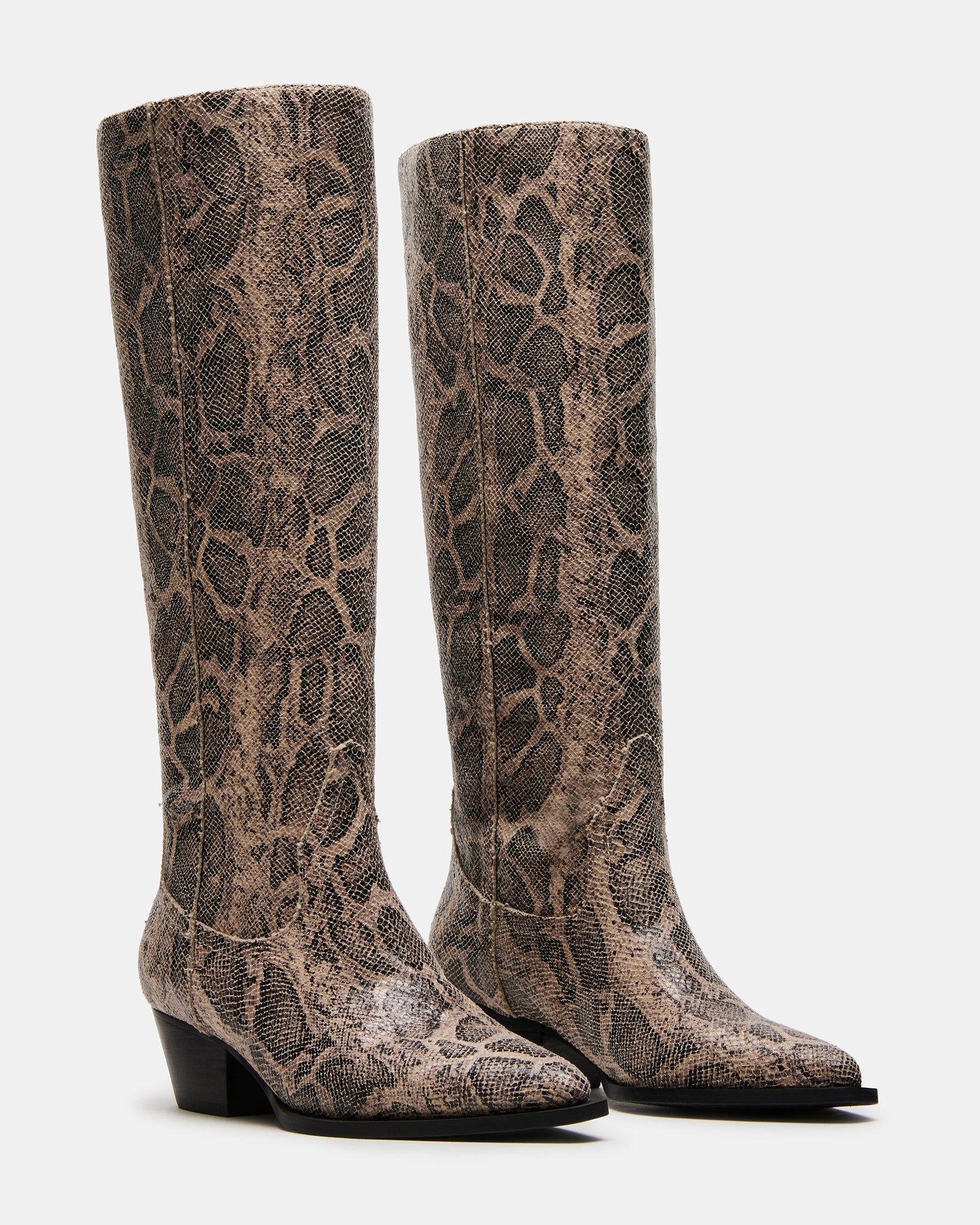 RATTLE SNAKE、mySite、gtrtttuynbv