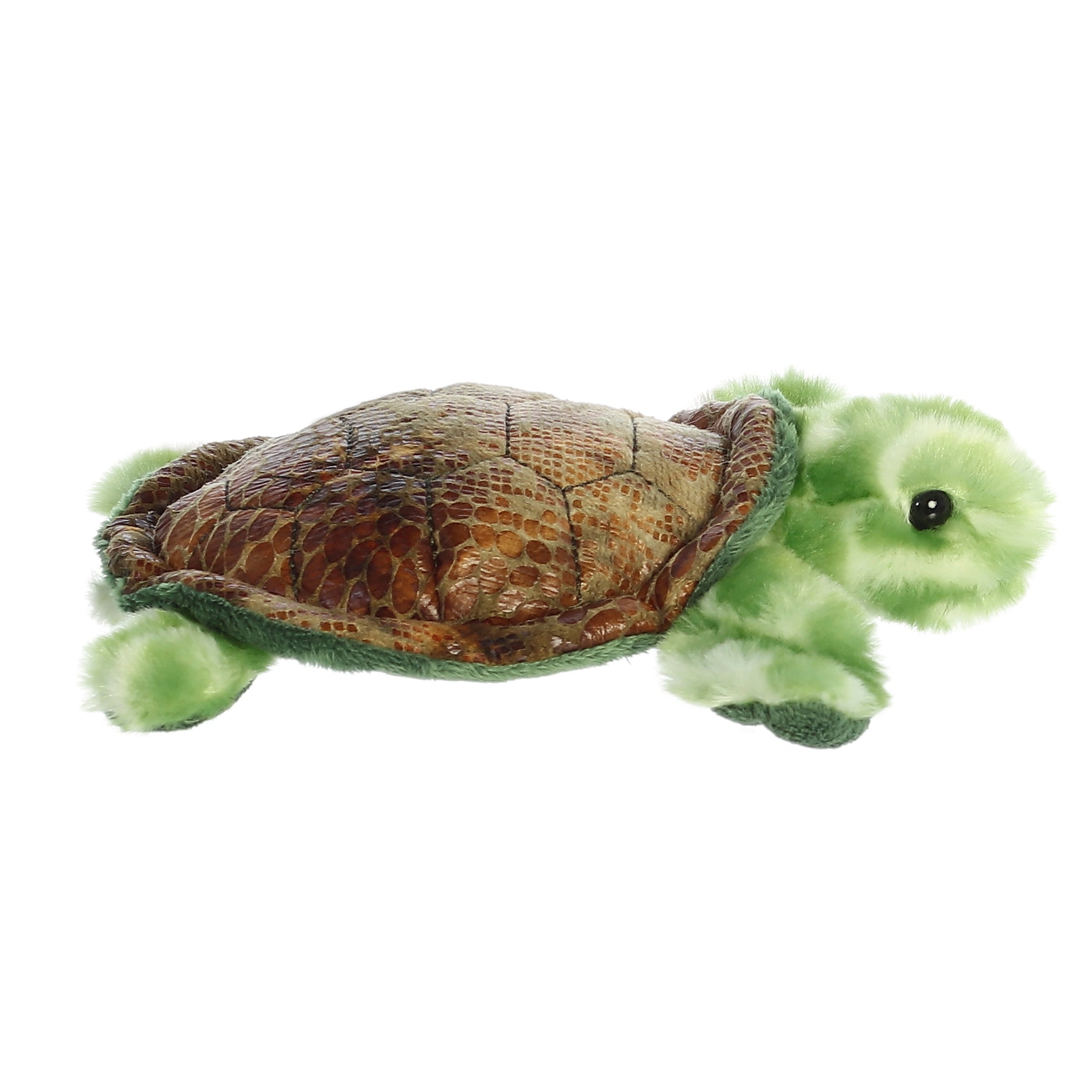 Aurora® - Mini Flopsie™ - 8 Splish Sea Turtle™、mySite、g9winljtr