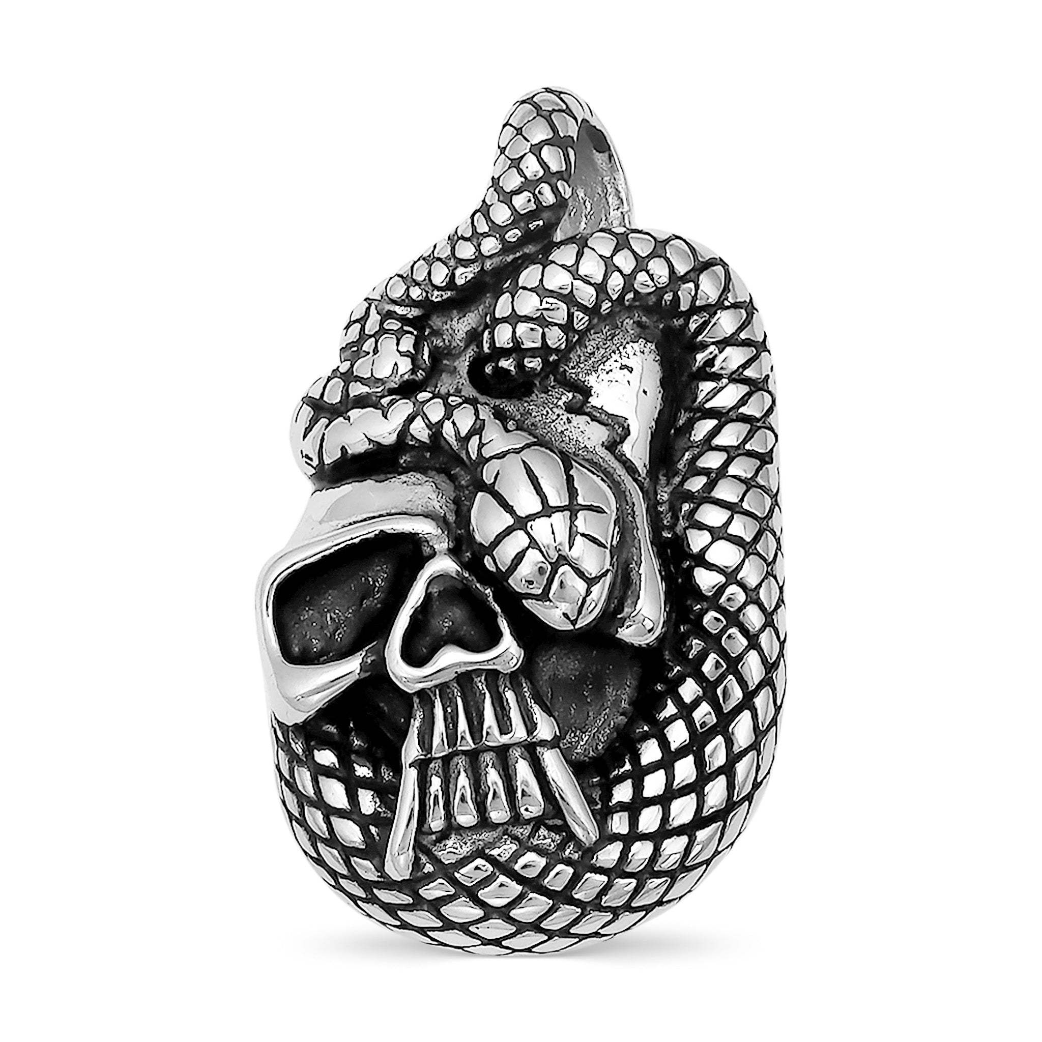 Stainless Steel Snake In Skull Pendant / PDL2002、mySite、dreamappss