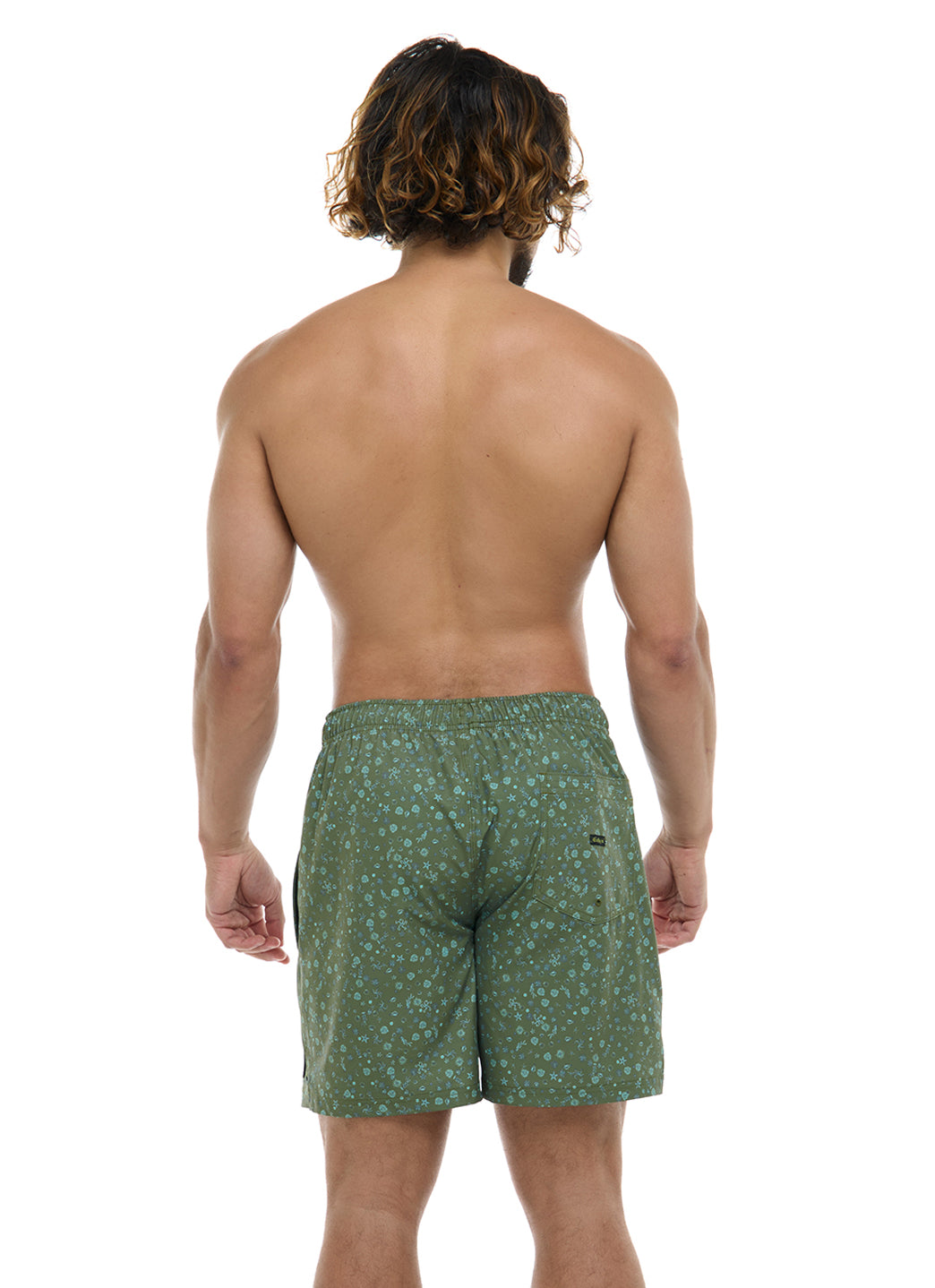 Eidon Men's 17Tiny Sea Volley Swim Trunks、mySite、noshort