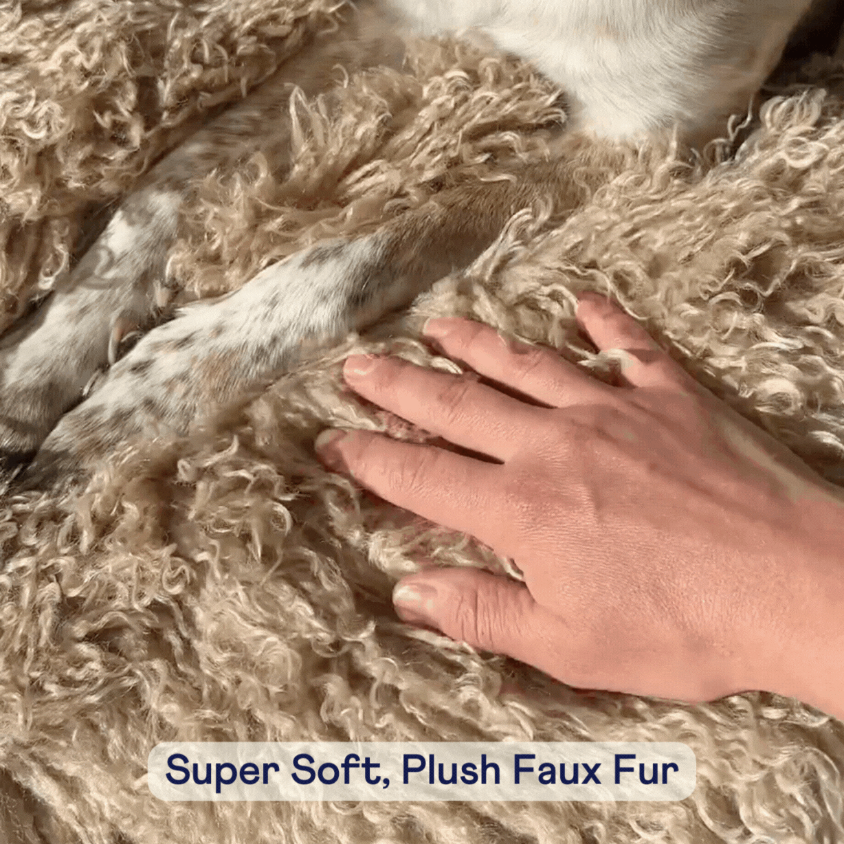 PupProtector™ Luxe Waterproof Faux Fur Blanket - Plush Sheep Tan、mySite、solidvoid