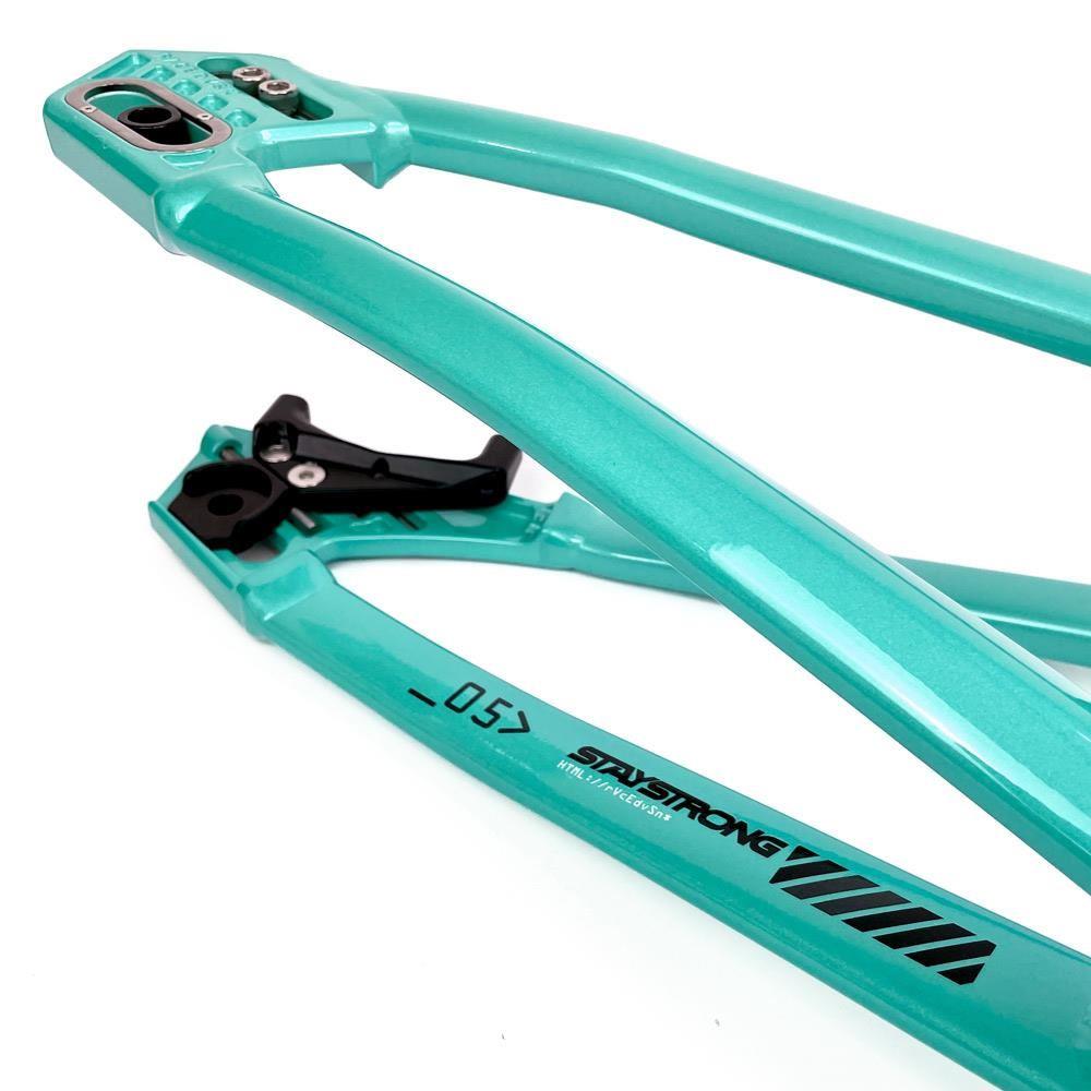  Stay Strong For Life 2024 V5 Cruiser XXL Race Frame - Disc Version、mySite、merchandisen