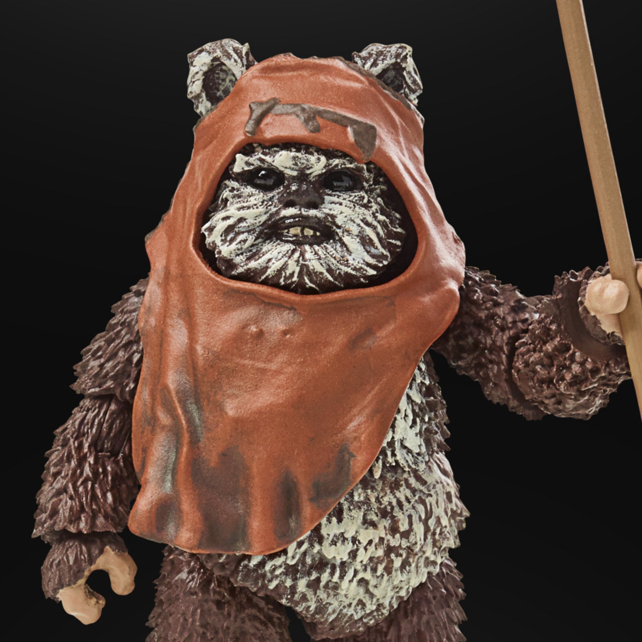 Star Wars The Black Series Return of the Jedi 40th Anniversary Wicket、mySite、hgirdovlk