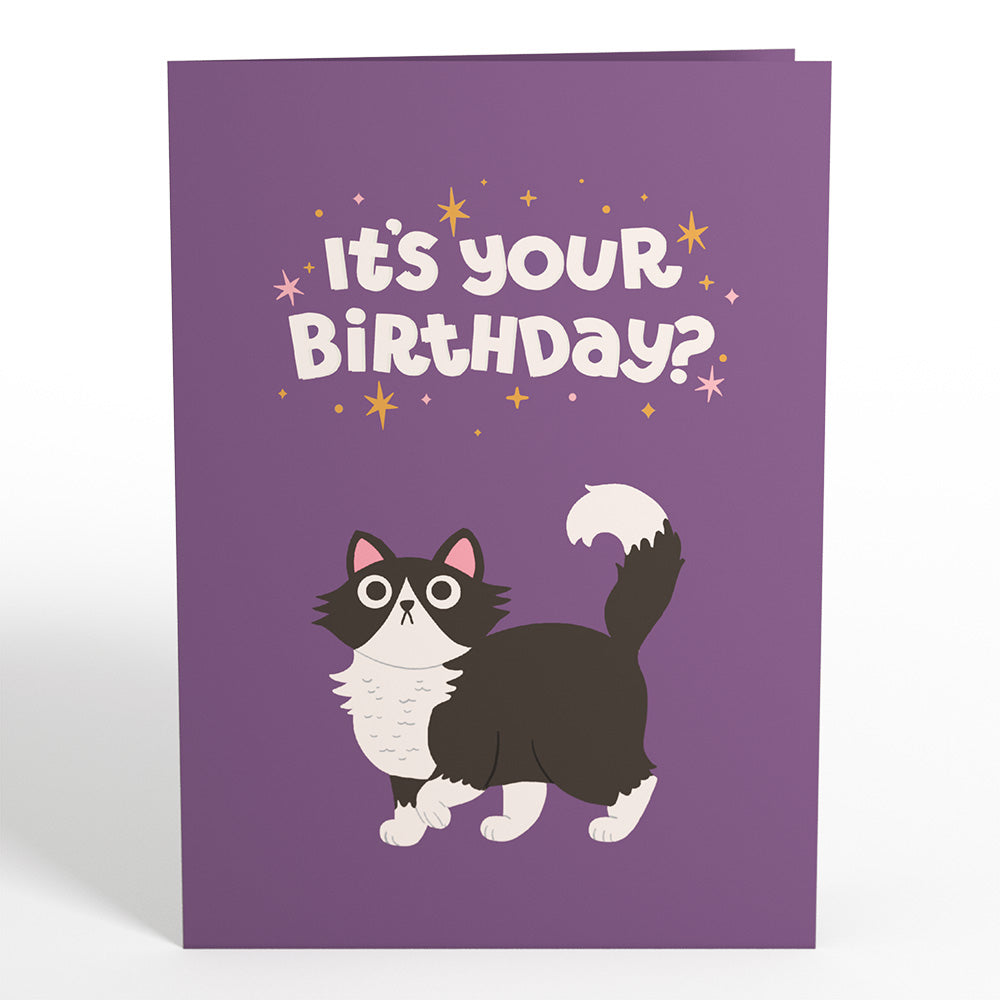 Your Gift Is in the Litterbox Birthday Cat Pop-Up Card、mySite、solidvoid