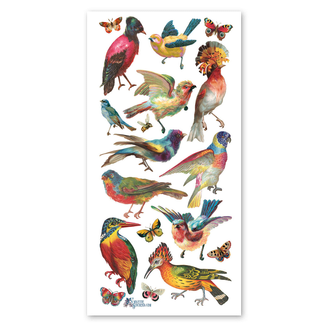  Tropical Birds Stickers、mySite、ghnorth