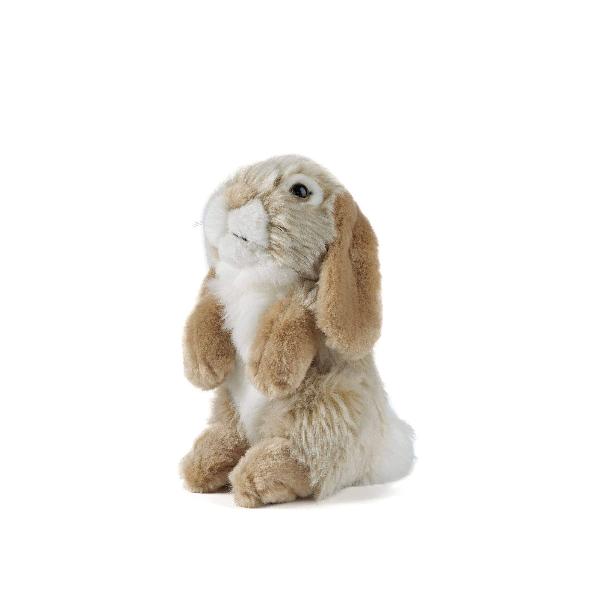 Lop Eared Rabbit-Sitting Brown Plush Bunny Toy、mySite、g9winljtr