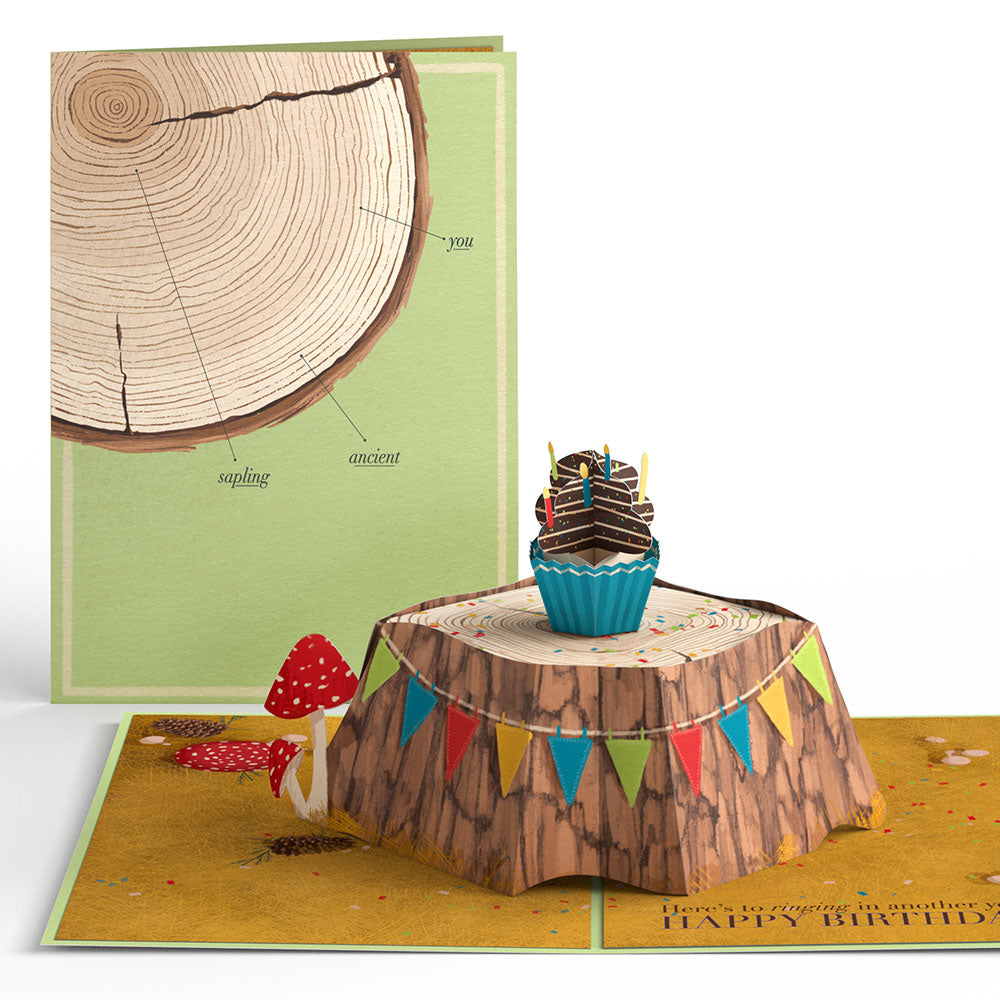 Ringing In Another Year Birthday Pop-Up Card、mySite、solidvoid