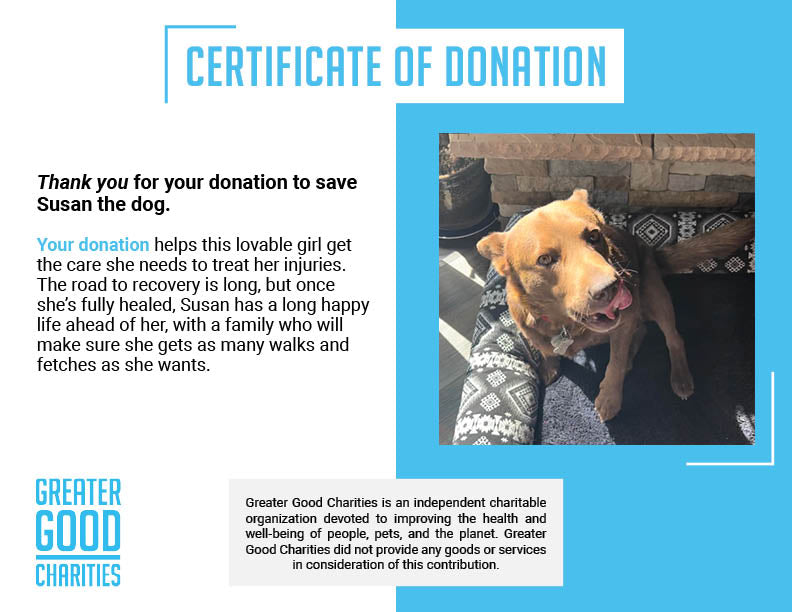 Funded: Help Susan Walk With Ease、mySite、camillekostekn