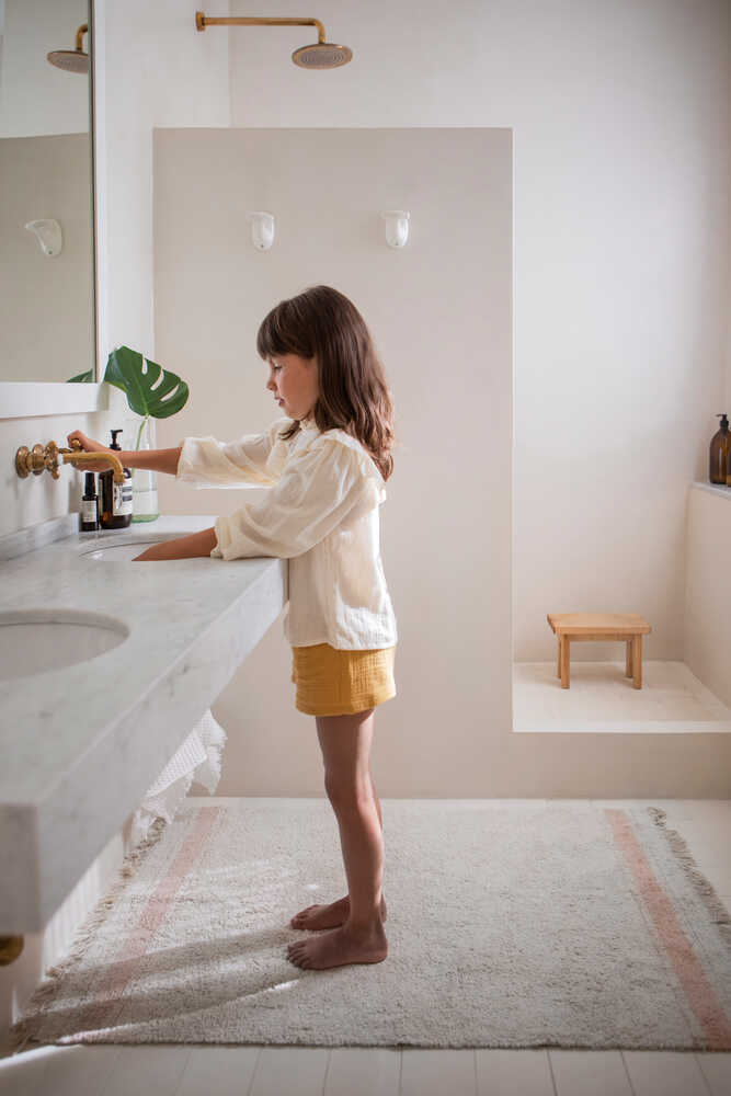 WASHABLE AREA RUG GASTRO ROSE、mySite、gigharbornorthrealestate