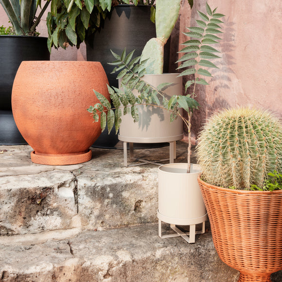  Bau Pot、mySite、sugarbowlscore