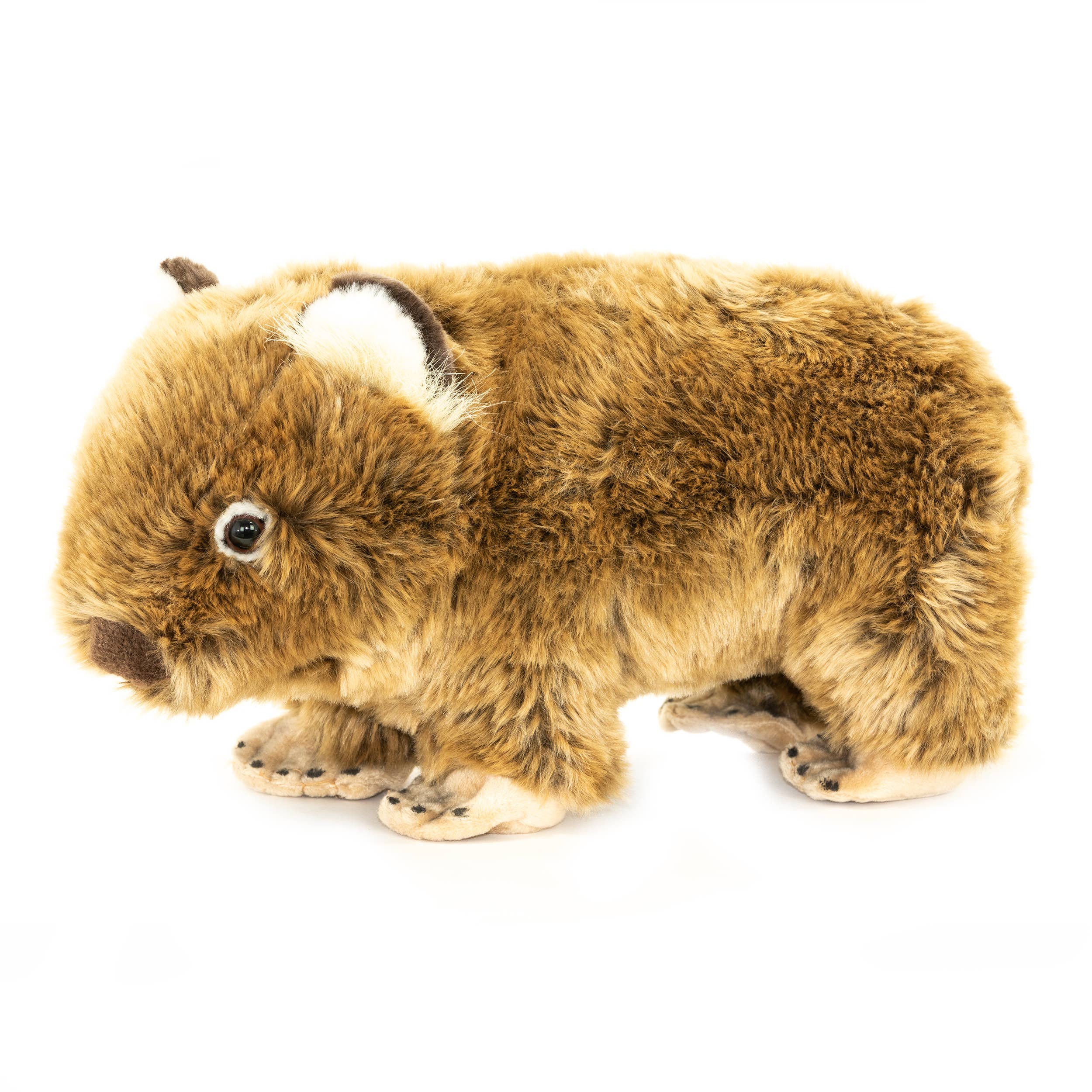 Plush Lifelike Australian Wombat Size 31cm/12、mySite、g9winljtr