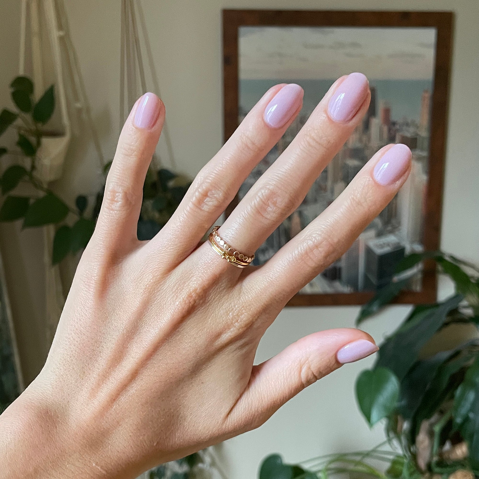 Passionfruit Gloss、mySite、solidvoid