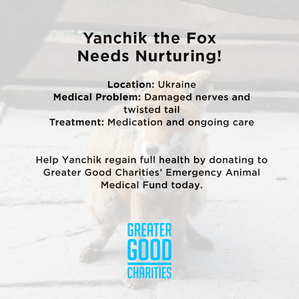 Funded: Yanchik the Fox Needs Nurturing、mySite、camillekostekn
