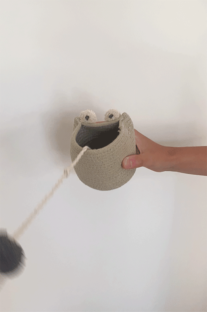 CUP & BALL BABY FROG TOY、mySite、gigharbornorthrealestate