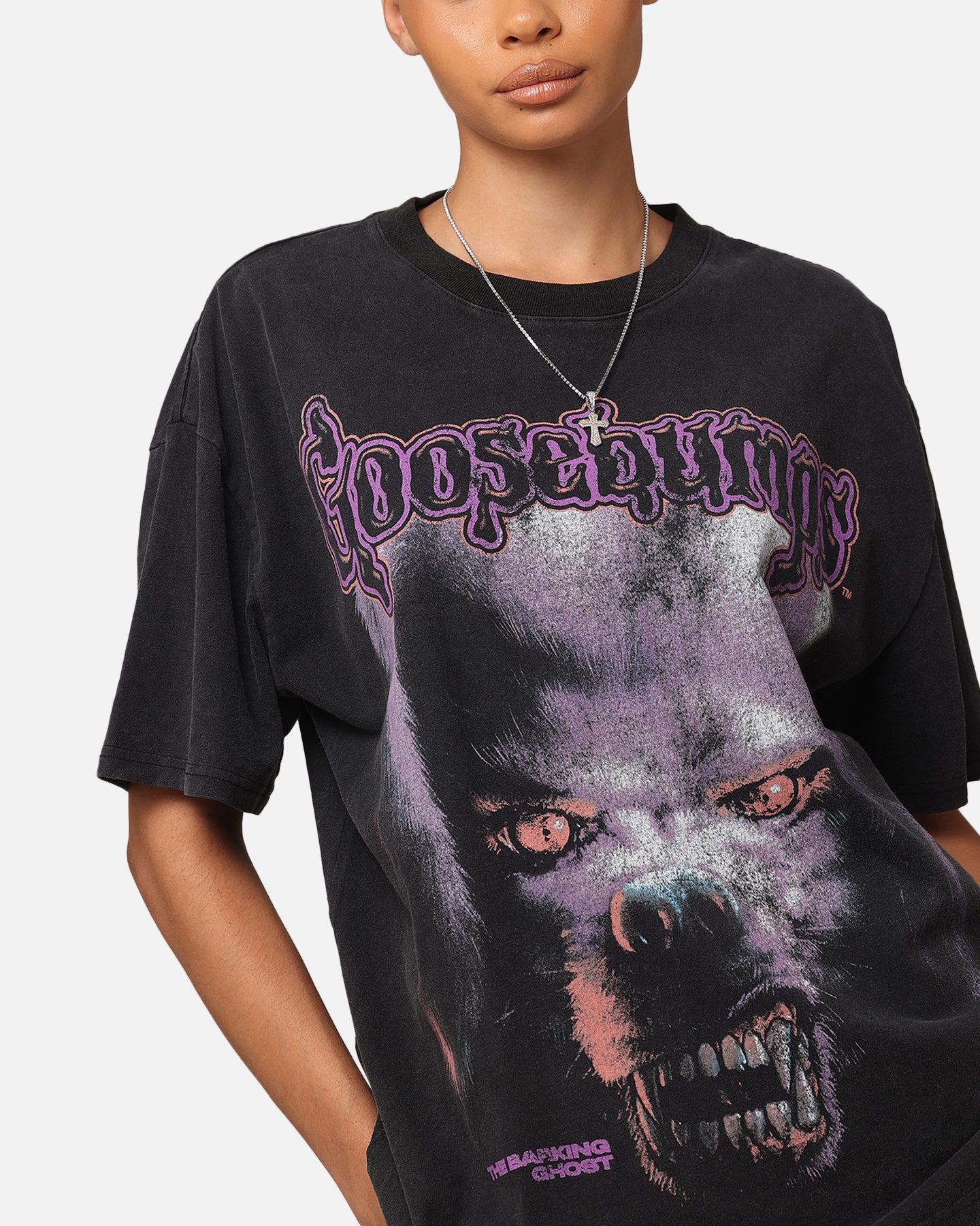 American Thrift X Goosebumps Barking Ghost Heavy T-Shirt Vintage Black、mySite、zt4zffjzw