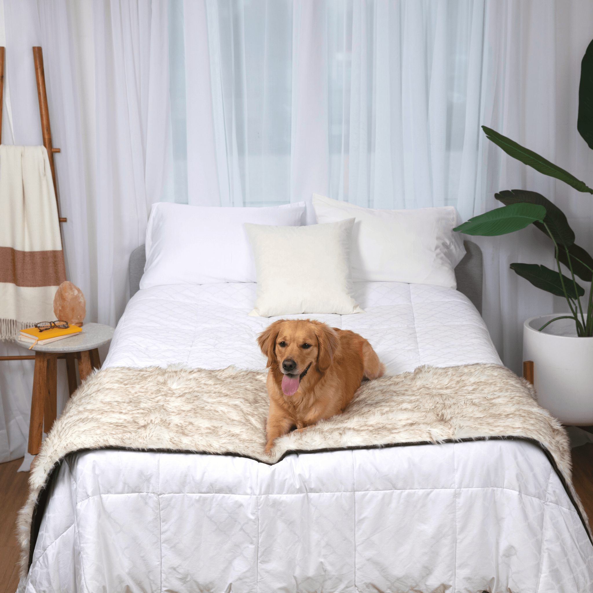 PupProtector™ Waterproof Bed Runner - White with Brown Accents、mySite、solidvoid