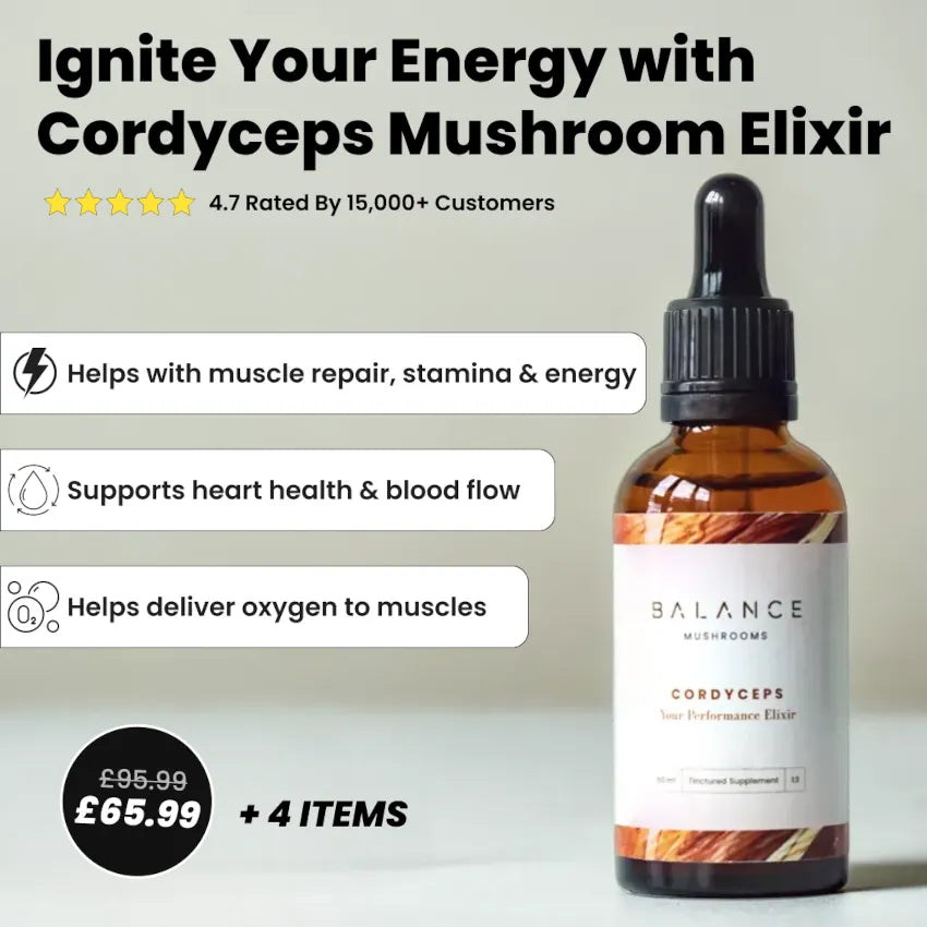 Mushroom Coffee Focus & Energy Bundle、mySite、gigharbornorthrealestate
