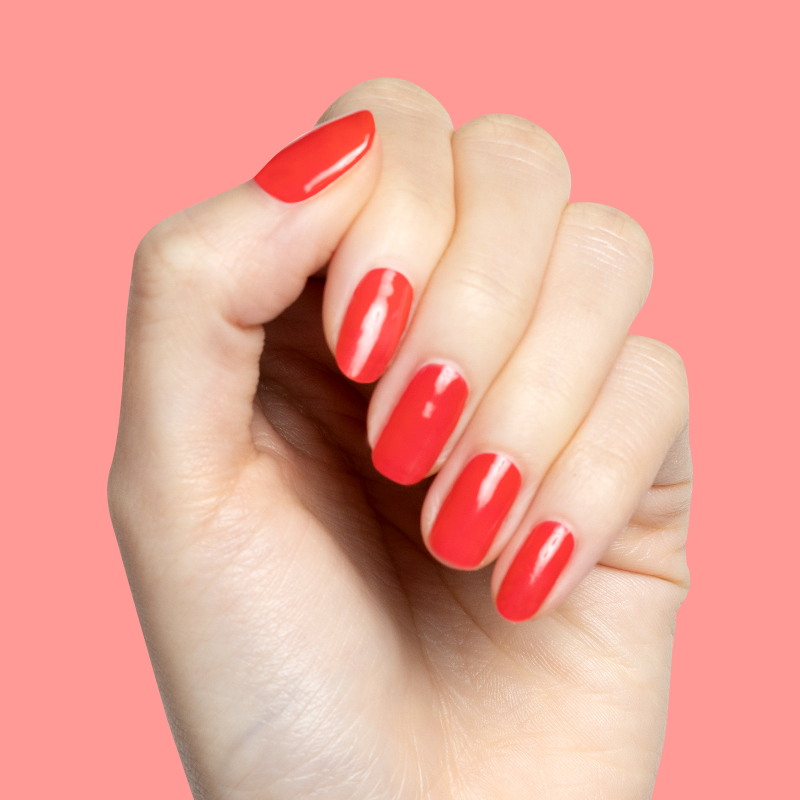 Fragola、mySite、solidvoid