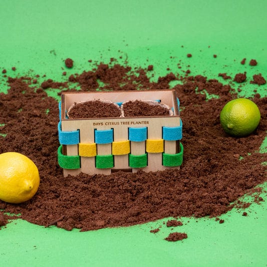 Jewish Holiday Kits - 1 Year Subscription Box、mySite、topwebapps