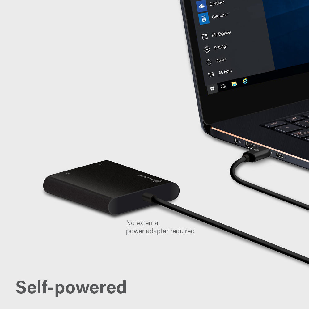 USB-C to Dual DisplayPort Adapter - 4K - 30 Hz、mySite、fannypackpong