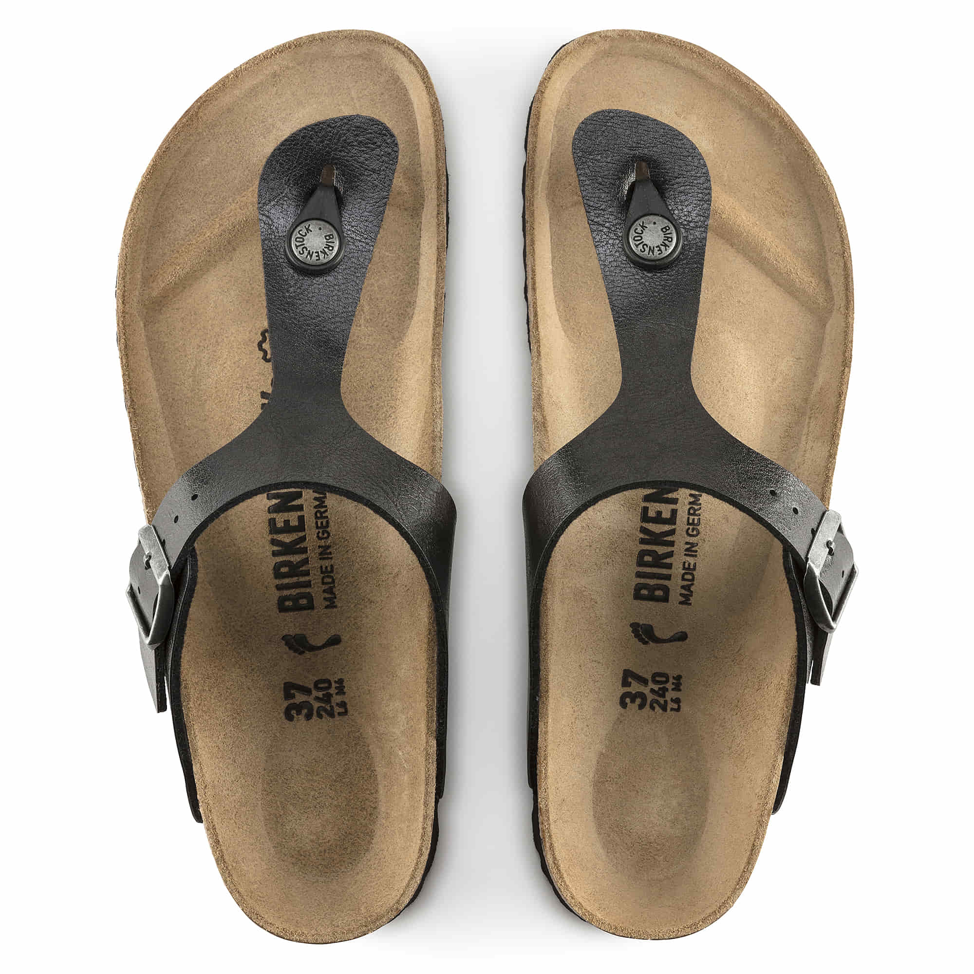 Gizeh Birko-Flor、mySite、gtrtttuynbv