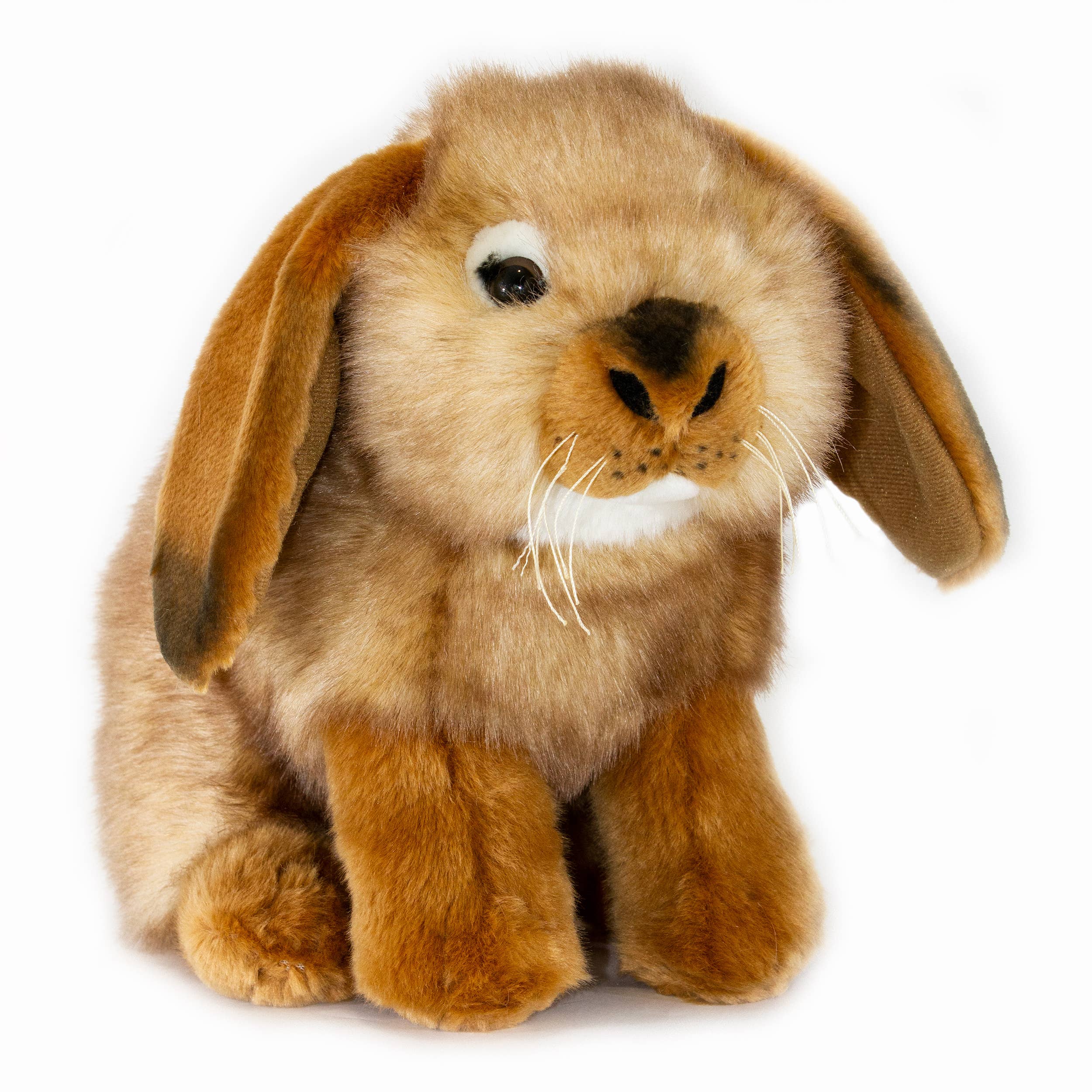Lop-eared Rabbit Life Size Realistic、mySite、g9winljtr