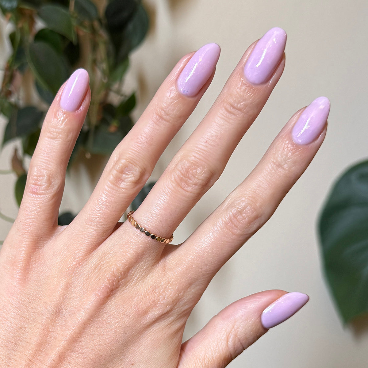 Glitter Cowgirl、mySite、solidvoid