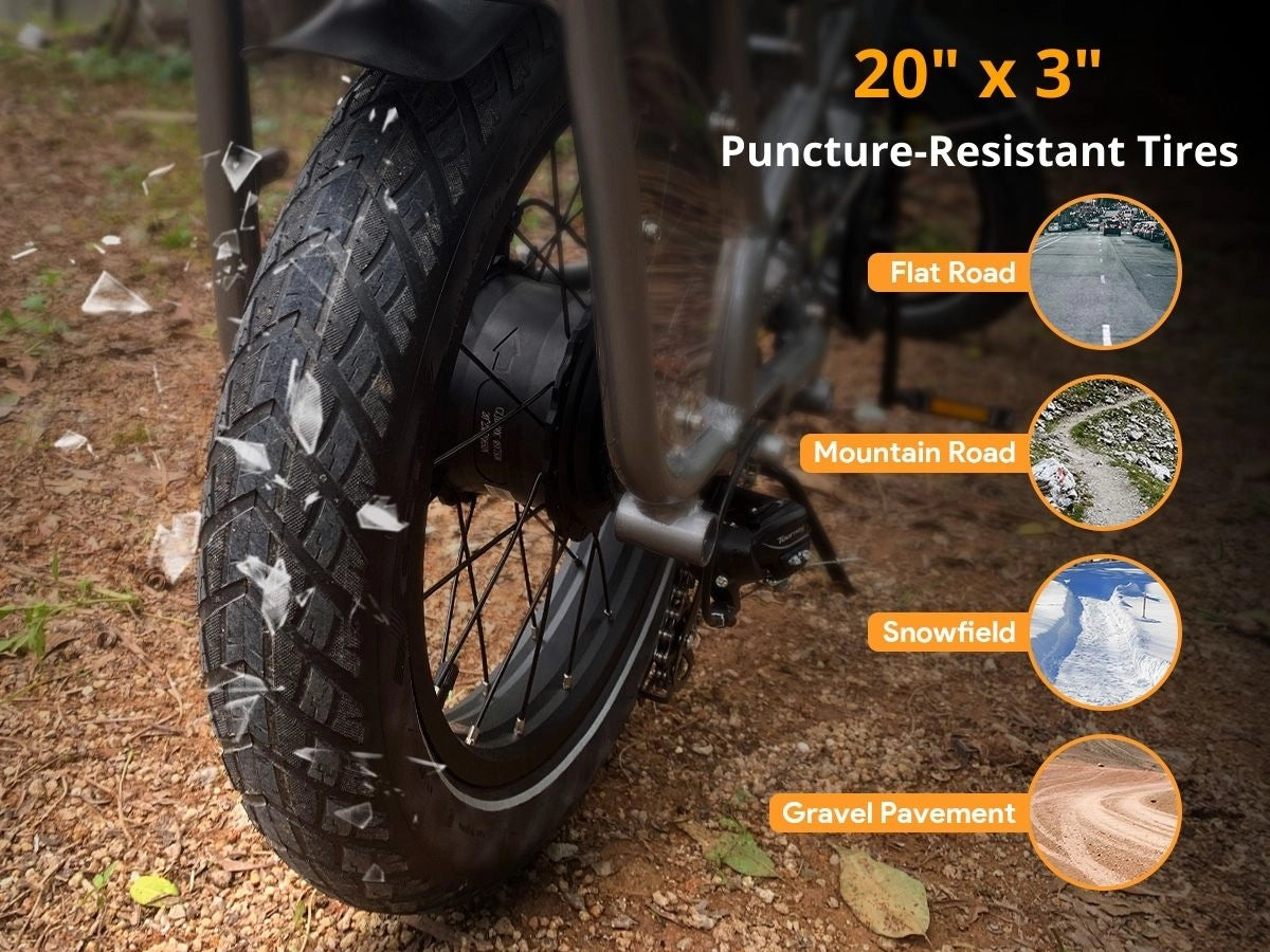 Aipas®A6 D Volt Cargo Ebike、mySite、gigharbornorthrealestate