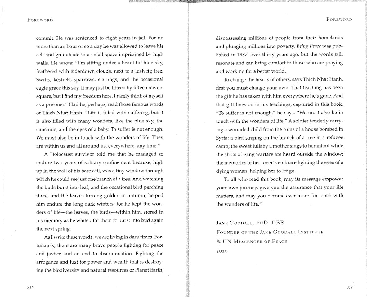 Being Peace、mySite、topwebapps