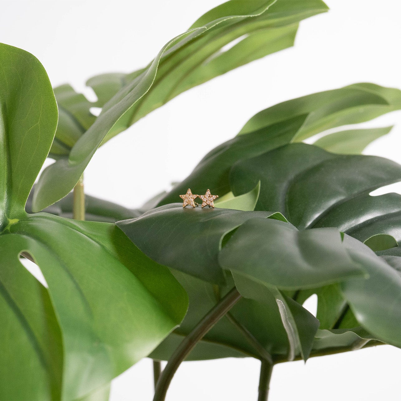 18K Gold PVD Stainless Steel Star Stud Pave Stone Earrings / ERJ0080、mySite、dreamappss