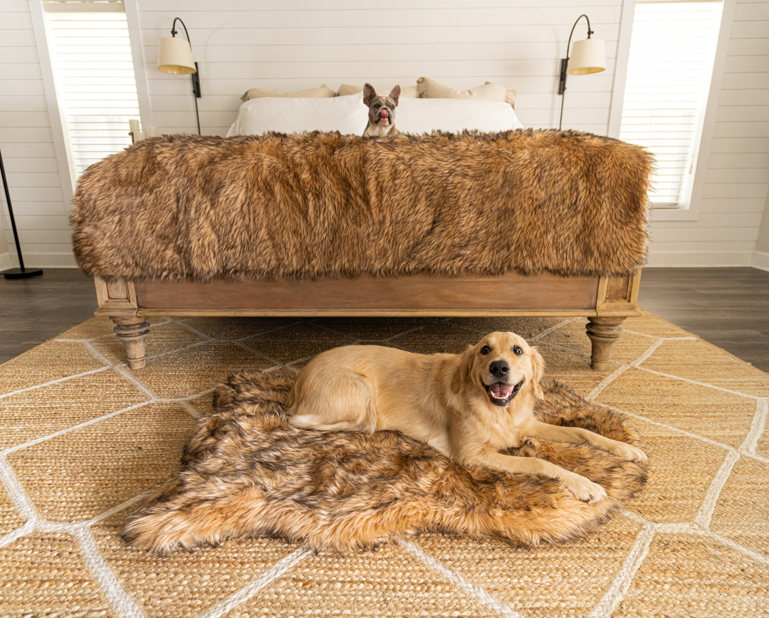 PupRug™ Orthopedic Bed + Matching Waterproof Blanket Bundle- Sable Tan、mySite、solidvoid