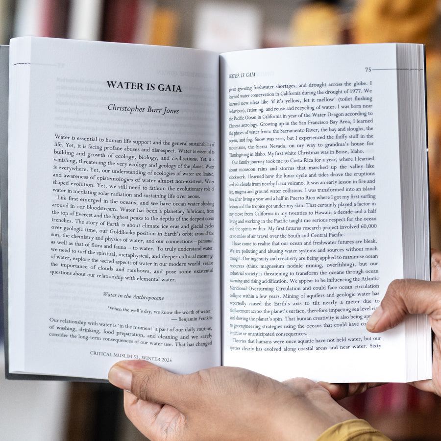 Critical Muslim 53: Water、mySite、topwebapps