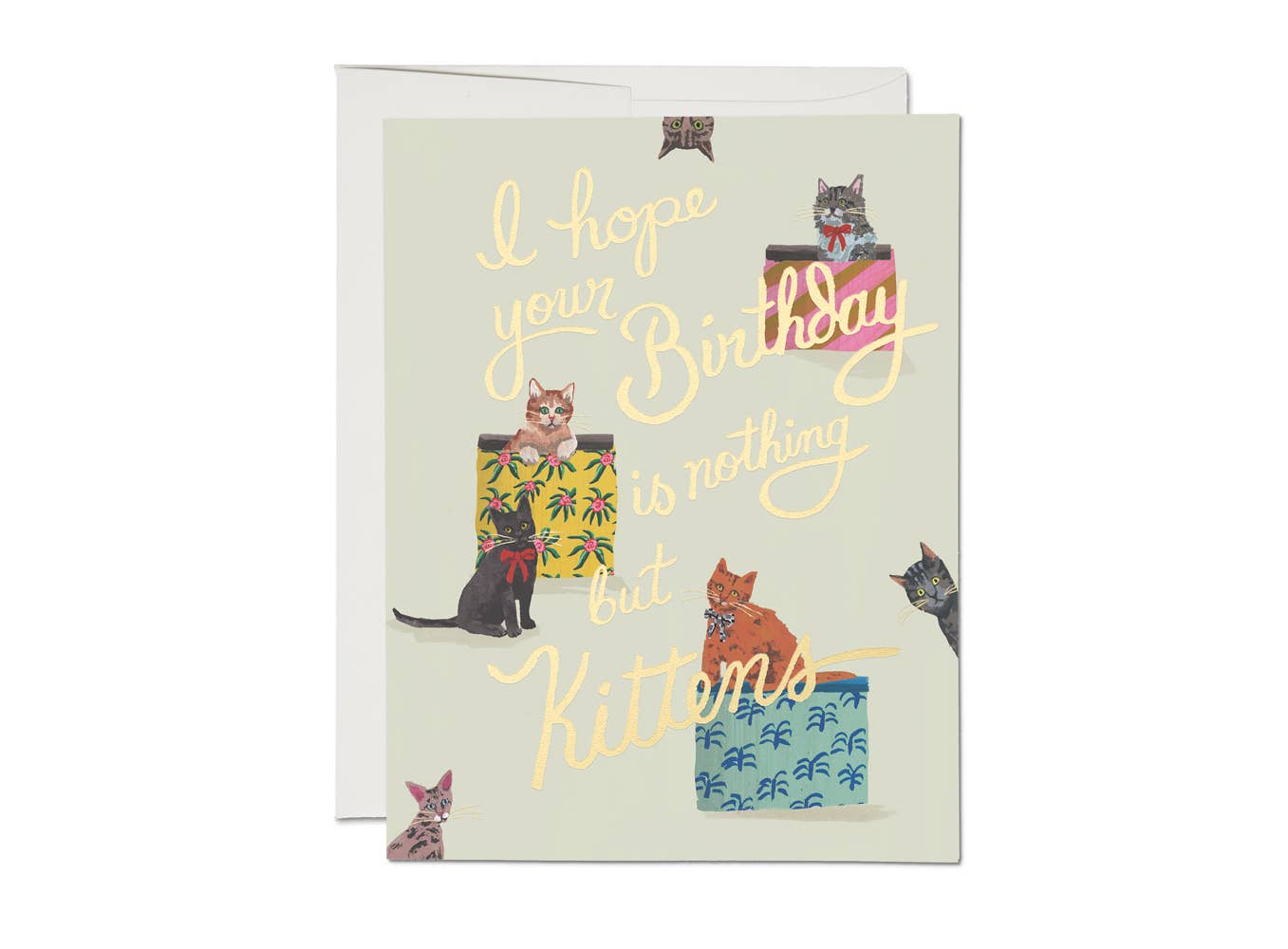 Red Cap Cards - Nothing But Kittens birthday、mySite、garagedoors4me
