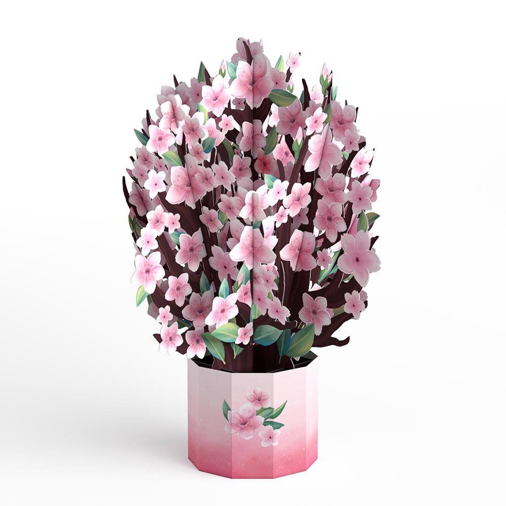 May Your Days Blossom with Joy Card with Mini Bouquet、mySite、solidvoid