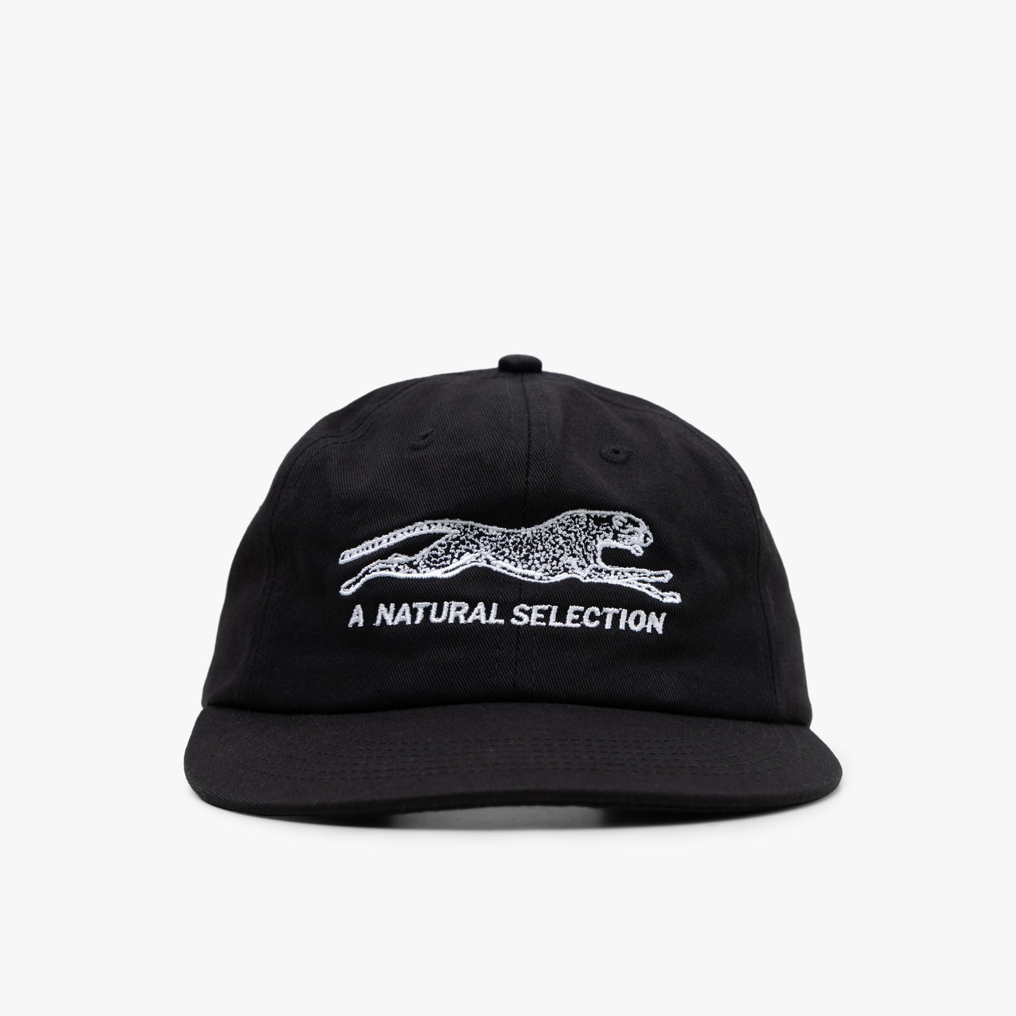  Brother Brother Natural Selection Cap Black / White、mySite、merchandisen